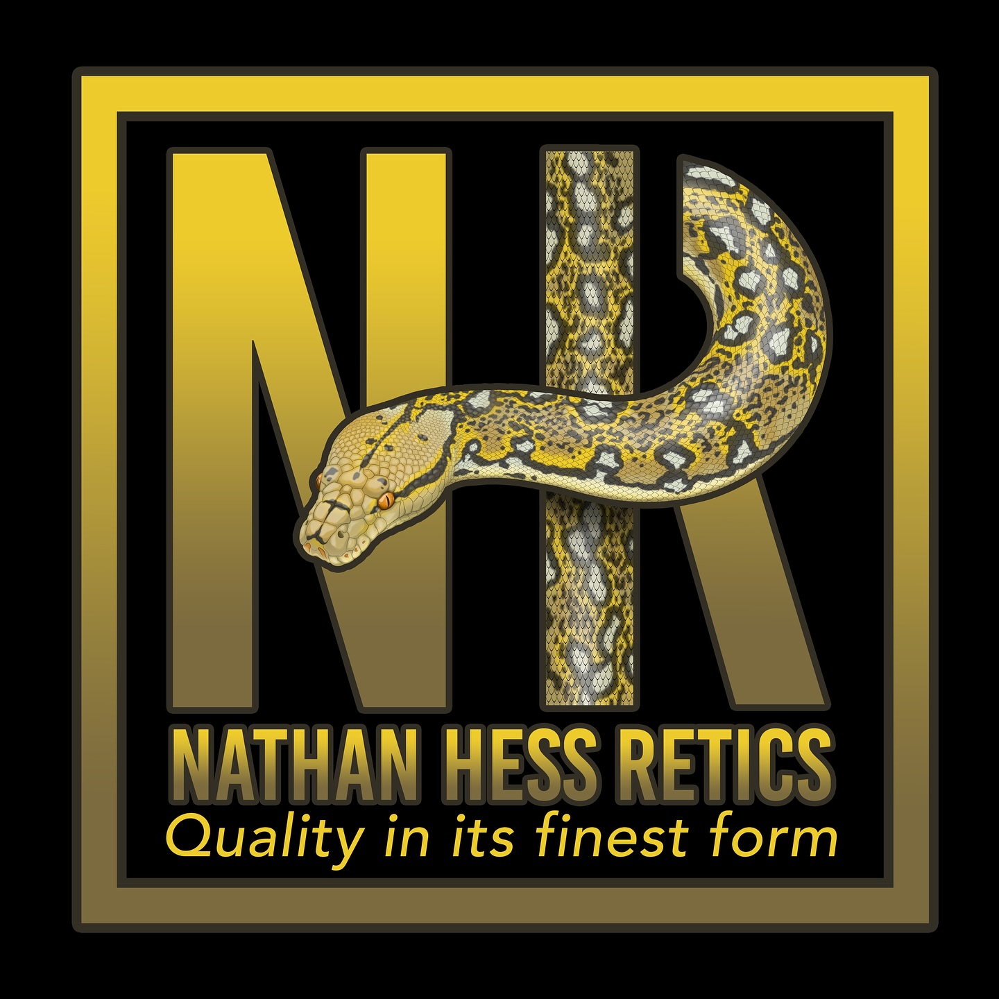 The time has come! Go check out my MorphMarket page and look at the new listings! I have a little of everything posted. Aztec Tigers, Aztecs, Tigers and Normals! Along with an Anaconda!