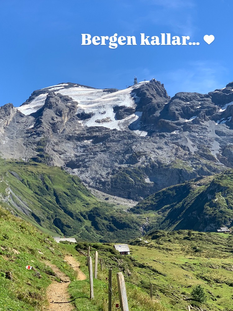 Äventyren är bättre tillsammans, vandra med oss 11-14 september. Några platser kvar! 🥾⛰️🍃☀️
📍 Engelberg, Schweiz
Läs mer på hemsidan (länk i bio) eller skicka DM.
Varmt välkommen till bergen och en härlig upplevelse i bergen. 😍✨
@engelberg.titlis @skilodgeengelberg @titlis_thepeaktobe @brunni.engelberg @fuerenalp.engelberg @visitswitzerland