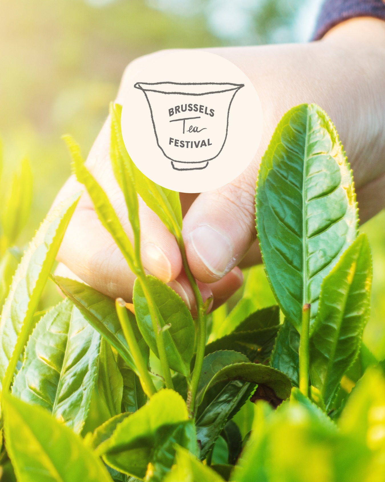 🇨🇳 CHINA: The birthplace of tea
🌿 World’s #1 tea producer
🌏 Over 2.5 million tons harvested each year
🍵 The only country producing all major tea types: green, black, white, oolong, yellow, pu’er
🌄 Iconic regions: Yunnan, Fujian, Zhejiang, Anhui, Sichuan…
Every cup holds 5,000 years of culture, a legacy of origin, tradition, and continuous reinvention.
🧭 Taste this diversity at the Brussels Tea Festival®.
Specialised tea houses will present their finest selections.
🗓️ September 28, 2025
📍 Flagey – Brussels
🎟️ Tickets available in bio
—
🇨🇳 CHINE : Berceau du thé
🌿 1er producteur mondial de thé
🌏 Plus de 2,5 millions de tonnes produites chaque année
🍵 Le seul pays à produire tous les types de thé : vert, noir, blanc, oolong, jaune, pu’er…
🌄 Des terroirs mythiques : Yunnan, Fujian, Zhejiang, Anhui, Sichuan…
Dans chaque tasse : 5 000 ans d’histoire, de culture et d’innovation.
Le thé chinois est à la fois origine, tradition, et éternelle redécouverte.
🧭 Venez goûter cette diversité au Brussels Tea Festival®.
Des maisons spécialisées vous présenteront leurs plus belles récoltes.
🗓️ 28 septembre 2025
📍 Flagey – Bruxelles
🎟️ Billets disponibles en bio
#BrusselsTeaFestival #ThisIsNotAFestival #BTF2025 #MagritteSpirit #EspritMagritte #Flagey #brusselsteafestival®