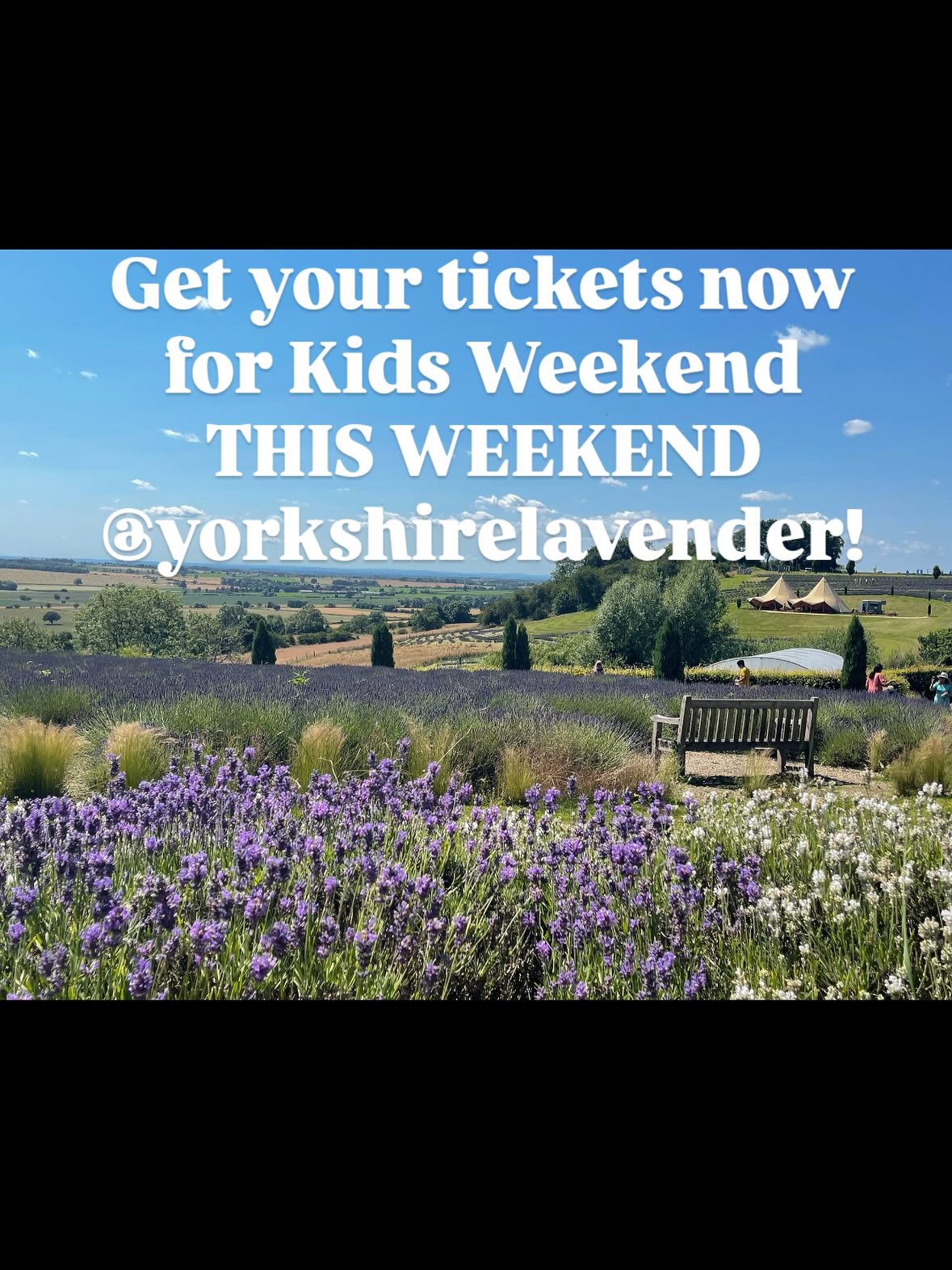 Struggling for plans for Bank Holiday Weekend? Get yourselves down to @yorkshirelavender for their fabulous Kid Weekend Takeover!
We will be there serving grub but there will also be tonnes of activities for kids and grown ups to enjoy. Tickets are available online for access to the glorious grounds and all this:
- @boom.circus
- Facepainting
- Giant inflatables including Bouncy Castle and Slide
- Garden Games
- Lavender Maze
- Pottery Painting (Sun)
- Slime (Sun)
…and more!
This event is not just for little ones…the Tea Rooms and gardens will be open as normal so you can enjoy a tipple or two in the sunshine rather than a traditional beer garden.
Pop on down for an alternative bank holiday day time activity and then spend your evening @thegrapesinnslingsby for their annual Mini-Fest!
Weekend Plans = Sorted!
#popup #bankholiday #bbq #loadedfries #byharrianded #food #foodie #chef #hotdog #pulledpork #weekend #event #york #games #circus