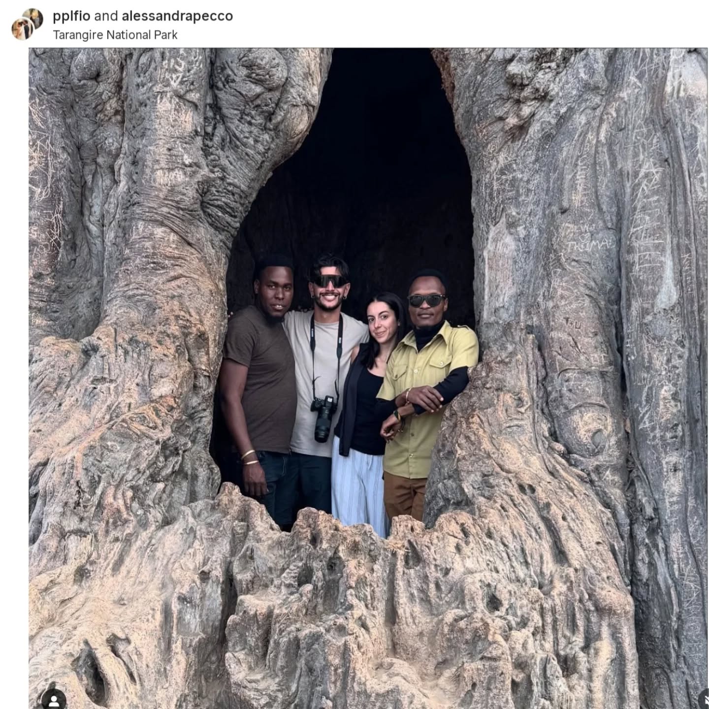 Thankyou pplfio for sharing your moment with Trip Quest! #ExploreArusha #TripQuest #wildAfrica #safariadventure #africatravel #africatour #KenyaSafari #NgorongoroSafari #WildlifeAdventures #TanzaniaTravel