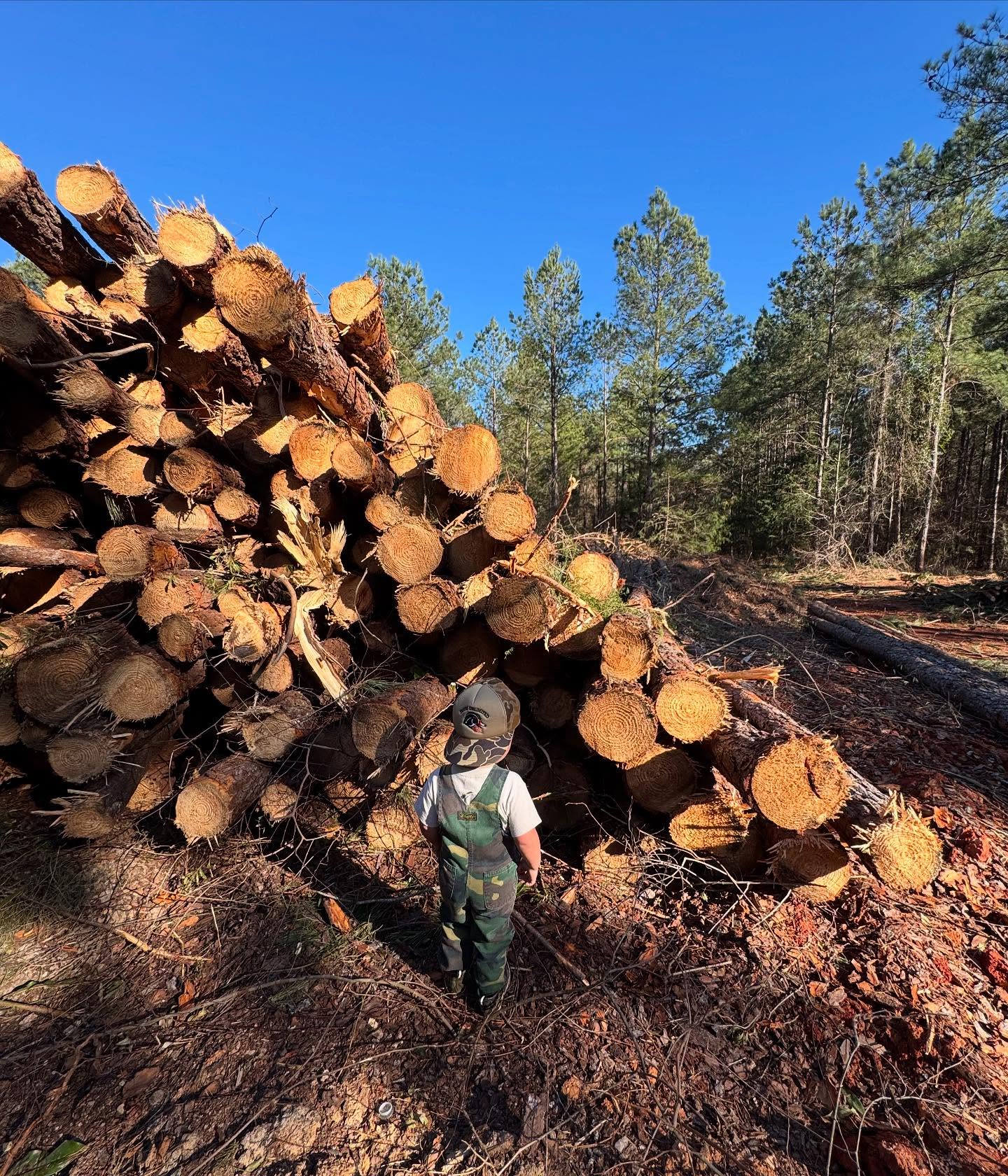 State of the Forestry Industry in Georgia🌲
.
As this week comes to a close and what is still a shock to the system. Forestry is and has always been the backbone of South Georgia - it’s an industry that not only improves our daily lives through ecosystem services (fresh air, clean water, habitat, raw materials, etc, etc) it also sustains families, fuels local economies & preserves the working landscapes that define who we are. In Genesis the God of the universe gave humans dominion over every critter that creeps, flies or swims and every plant that yields seed on all the earth.
.
But as I type this out and scratch my head in disbelief, we must be honest about the challenges before us. Our industry as we know it, is under attack - not by one single person or thing but by a multitude of factors that play into this very difficult situation that you and I are not in charge of - nor do we have a spot at the table to discuss these things.
.
We live in the richest, most successful, & most amazing country in the world. Some would say differently but that’s my opinion and I am the one writing this. We are extremely blessed the be free, but freedom doe not come free. With this freedom we have a responsibility and we work within the bounds of a capitalist economy which is built on private ownership, market competition & profit motive. Now within the bounds of this type of economic structure you are going to have ebbs and flows - we are in the flow and this flow is under immense strain.
.
When pulp mills go offline, the effects ripple far beyond the gates of those facilities. It is not just a mill closures - it is a shockwave. It reverberates through the lives of the 1,100 people directly employed and tens of thousands that are indirectly affected: the loggers who can’t move wood, the foresters who’s expertise goes unused, the landowners who lose value, purity & purpose. Every mill that closes leaves a scar on a region, and those scars take generations to heal - if at all.
.
Markets matter. Without viable markets, trees in the ground lose value, and when trees lose value, land use begins to shift, this shift is a slippery slope - (continues in the comments)