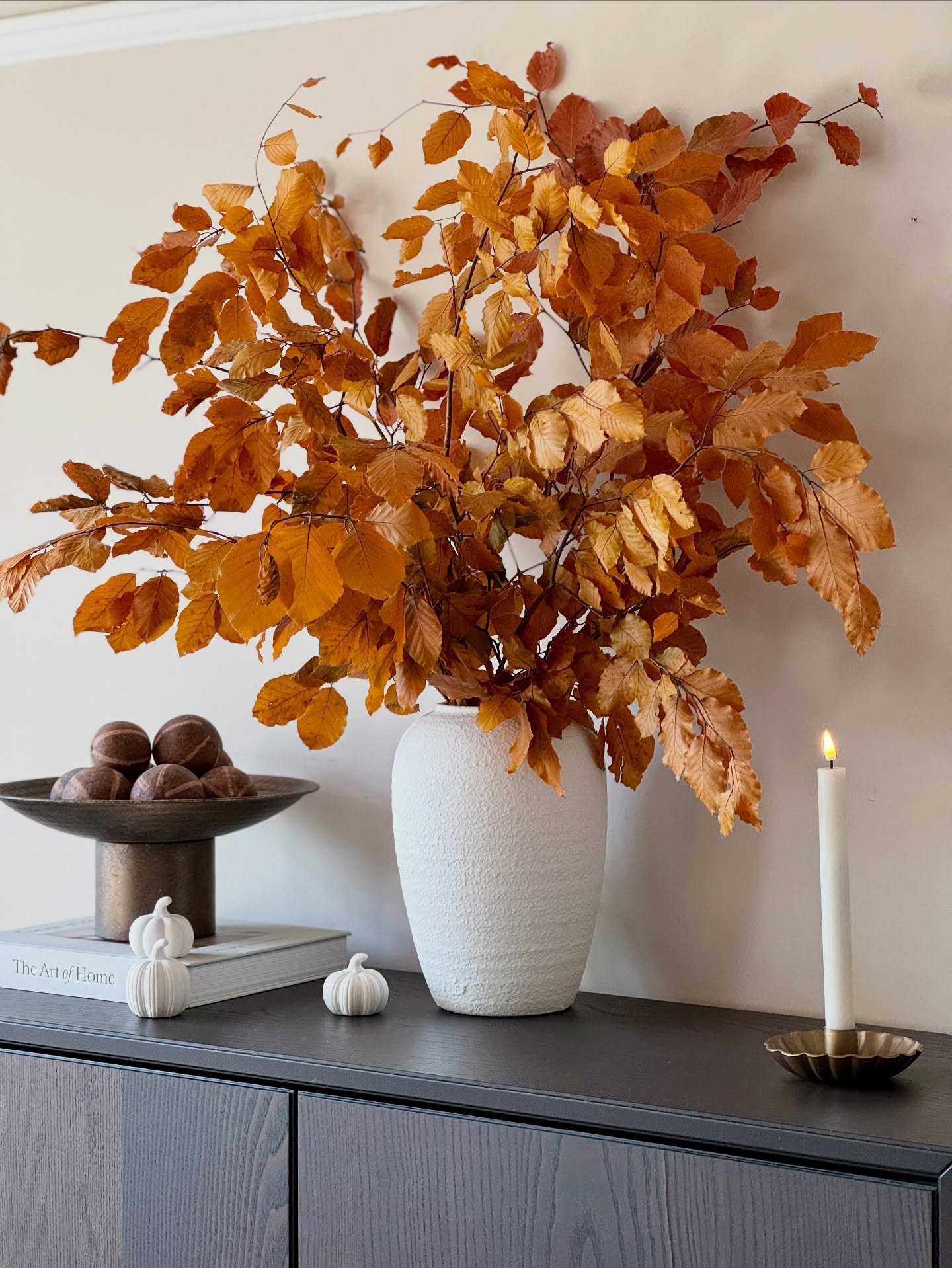 🍂 Our Autumn Collection Has Arrived! 🍂
We’re so excited to bring you the magic of autumn at Boxwood Home Interiors – with your best-selling favourites back by popular demand, plus beautiful new pieces to make your home feel warm, welcoming, and wonderfully cosy this season.
From rich autumnal foliage and statement ceramics to timeless décor that transitions effortlessly into the festive months – this is a collection you won’t want to miss. ✨
Shop now and bring the beauty of autumn into your home.
#BoxwoodHomeInteriors #AutumnDecor #FallHomeDecor #SeasonalStyling #InteriorStyling #AutumnInspo #HomeDecorIdeas #FallDecorIdeas #AutumnVibes #HomeInspo #SeasonalDecor #CosyHome #InteriorDesign #AutumnAesthetic #FallFavourites #HomeAccessories #InteriorGoals #DecorInspo #AutumnStyle #FallTouches #HomeStyling #warmandcosy