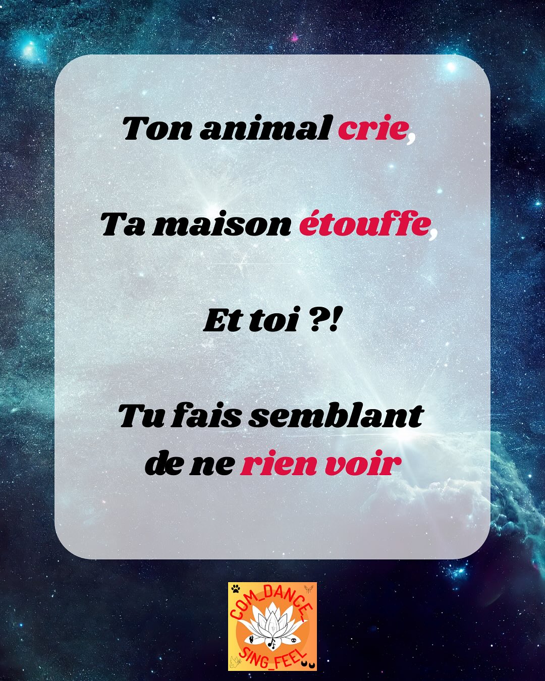 Tout est lié.
L’animal, l’humain, le lieu : un seul écosystème.
Quand l’un est en déséquilibre, les autres suivent.
Mon rôle ? Prêter ma voix à ce que tu ignores.
Ton animal, ton corps, ta maison, la Terre.
Pour que tout circule à nouveau.
Retrouver l’équilibre, ça commence par ouvrir les yeux.
Dis-moi en commentaire : c'est toi, ton animal ou ton lieu, qui s’exprime le plus fort en ce moment ?