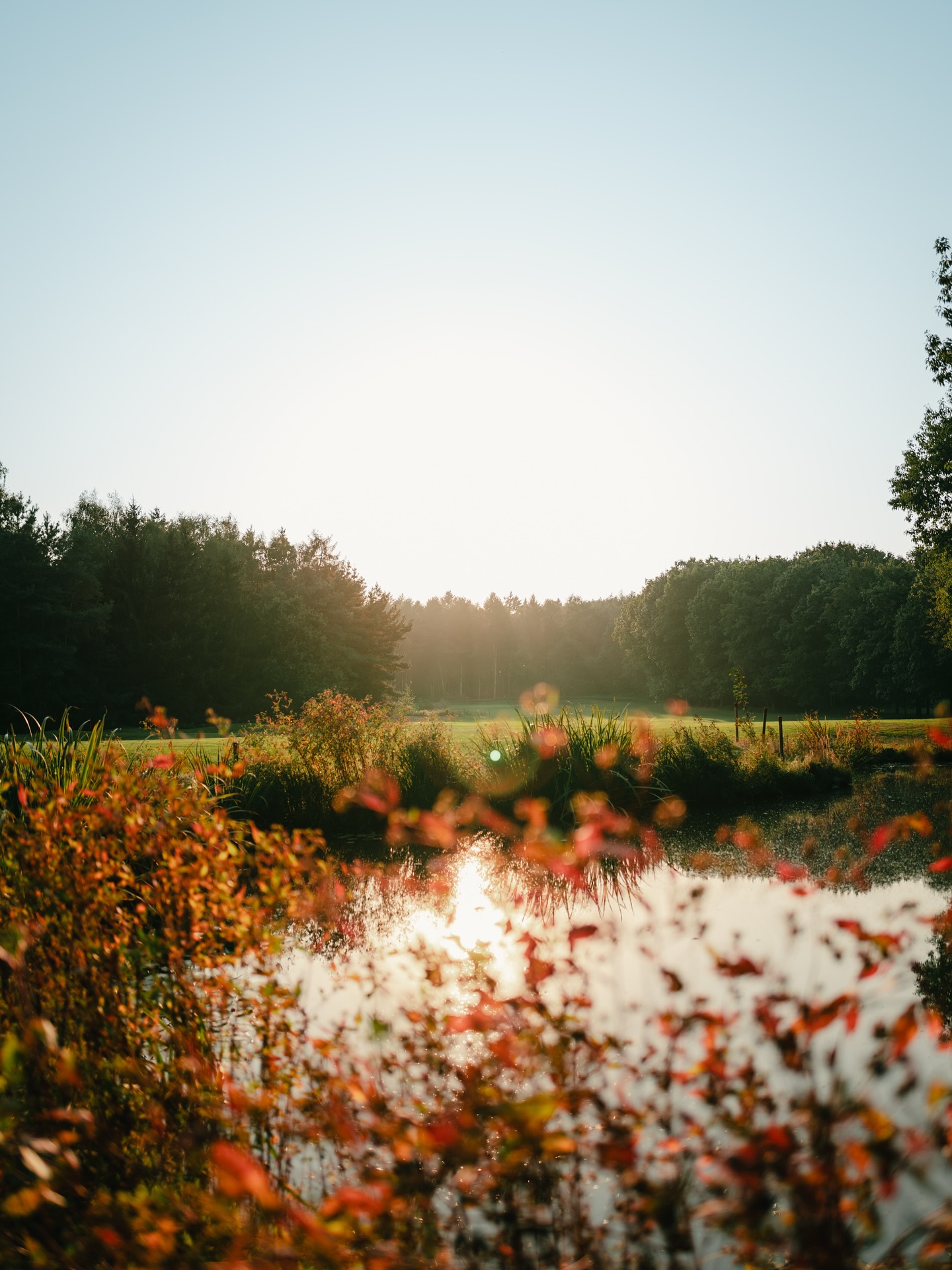 Impressionen vom Golfplatz. #golf #golfplatz #golflife