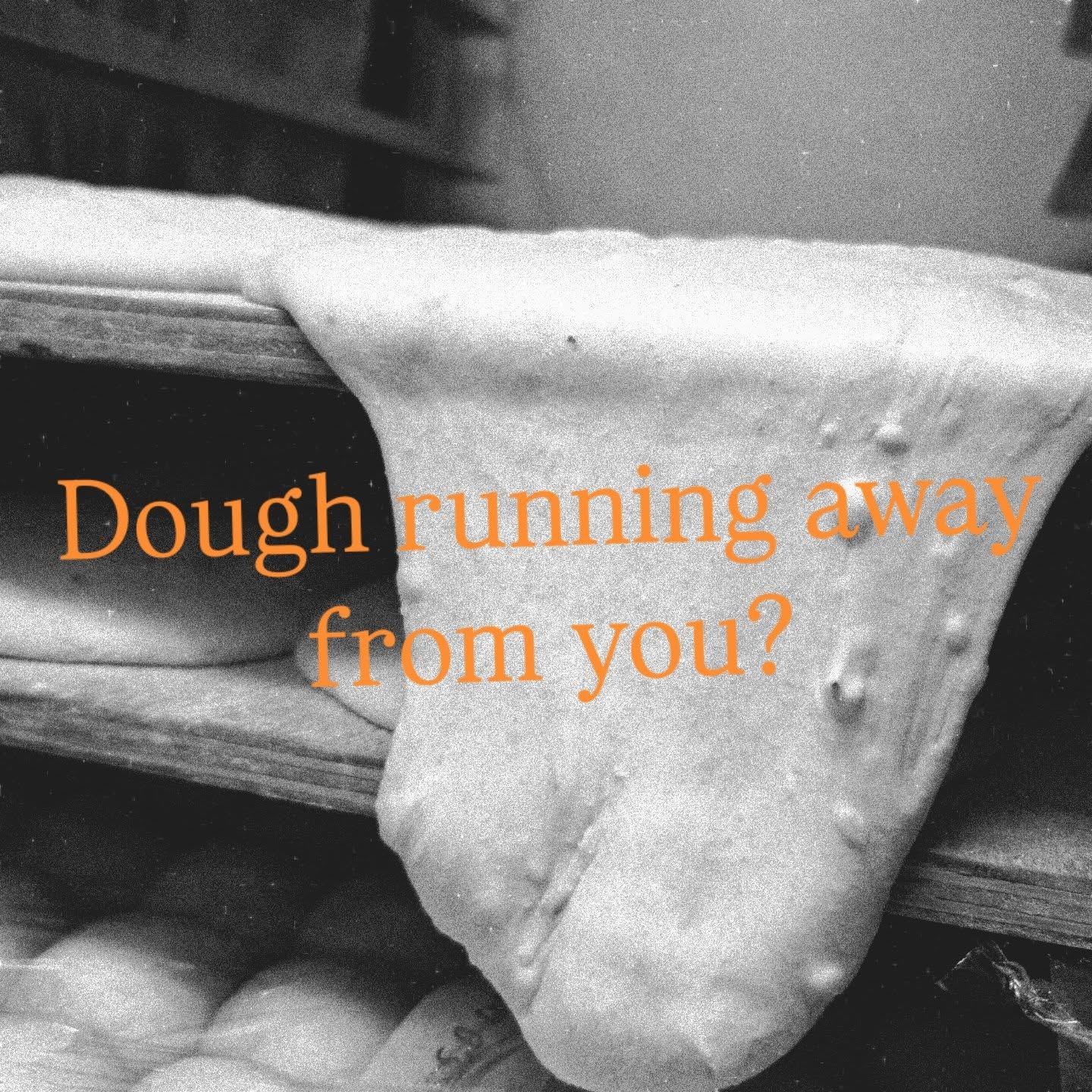 My immediate thoughts when someone tells me their dough is very flat, sticky, 'runny'... Poor gluten development/dough strength or low protein flour.. based on my experience.
ā”ļøThe protein content in flour directly affects gluten formation, which gives dough its strength, elasticity, and ability to trap gas during fermentation. If your flour doesn't have enough protein-or the right type of protein-your dough can become slack, fragile, and difficult to shape
ā”ļøEven with good flour, your dough won't hold together unless you develop its strength through proper technique. This means building the gluten network so it can stretch without tearing and support gas production. Make sure to Autolyse, Fold, Bulk Ferment to develop dough strength.
These two are very common issues, however there are also plenty of other factors that can also affect your dough.. I know... Why is it so complicated š
Doesn't have to be š
Send us a DM!
www.sipregoartisanbaking.com
#crumbshot #crumb #opencrumbmastery #sourdough #sipregobreadworkshops #painaulevain #naturallyleavened #sourdoughbread #homemadebread #mustdobrisbane #realbread #sourdoughbread #sourdoughbaking #sourdoughclub #sourdoughlove #wholewheatsourdough #wholewheatbread #breadstagram #homebaker #homebakedbread #brisbanesourdough #crumbshot #glutenfreesourdough #glutenfreebrisbane #glutenfreesourdoughbrisbane #brisbanesourdoughclasses #howtomakesourdoughbrisbane #beginnerssourdoughbrisbane #baguettesclassbrisbane #brisbanebestsourdough