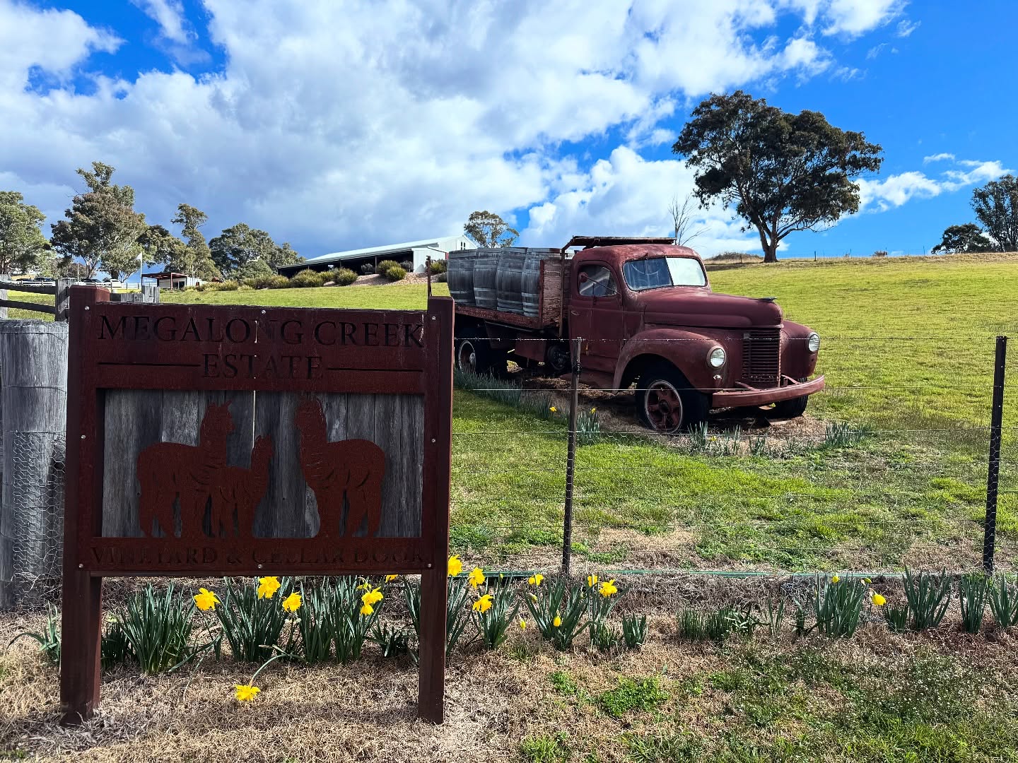 Stunning day in the Megalong today for a little wine tasting and a MCE Wine Beer💛 #megalongcreekestate #megalongvalley #winebeer #bluemountains #bluemountainsaustralia #bluemountainswine #daffodilday