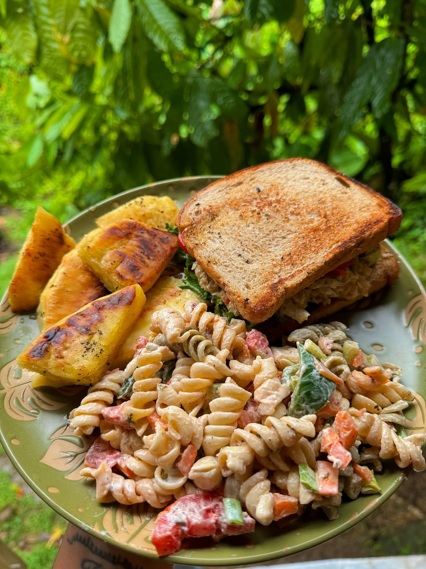 Meal of the day🫶🏽 Eveything made from scratch. Chickpea tuna (tomatoes & lettuce), Fried breadfruit, and Pasta salad (raw carrots, sweet peppers, tomatoes, green onion, and cucumbers). Paired with cold pressed strawberry, plum, and pine juice. Jungle life! 💖