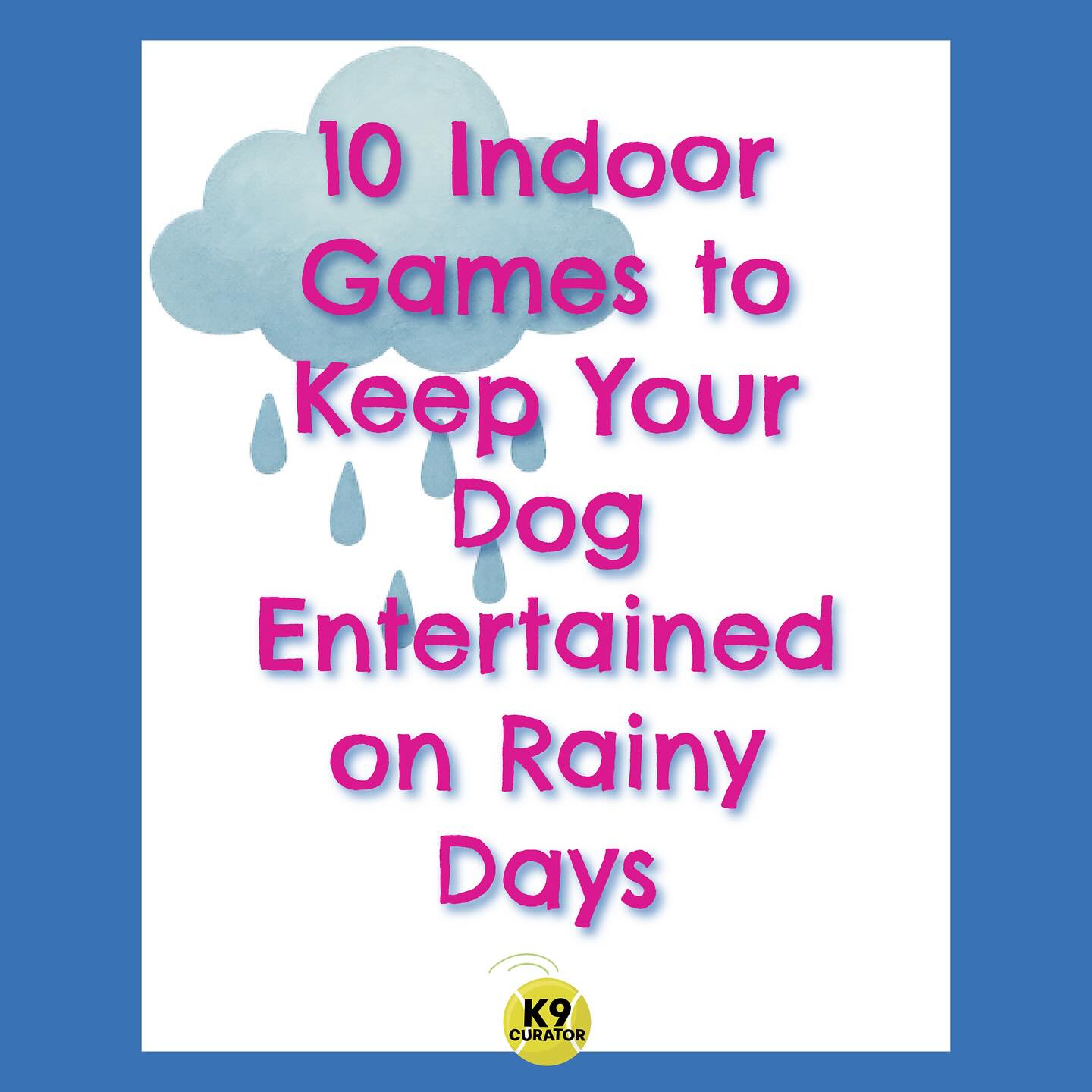 10 Indoor Games to Keep Your Dog Entertained on Rainy Days! Rain or shine, your dog needs to exercise their body and brain. These are great activities you can put together with items you already have!
.
.
.
#dogs #dogsofinstagram #dog #puppy #dogstagram #doglover #dogoftheday #doglife #doglovers #instadog #pets #puppiesofinstagram #dogsofinsta #cute #dogslife #petsofinstagram #doggo #ilovemydog #animals #cutedogs #dogphotography #petstagram #puppylove #dogfriend #puppies #puppyhug #cutedogs #smalldog #schnauzer #schnauzerpuppy