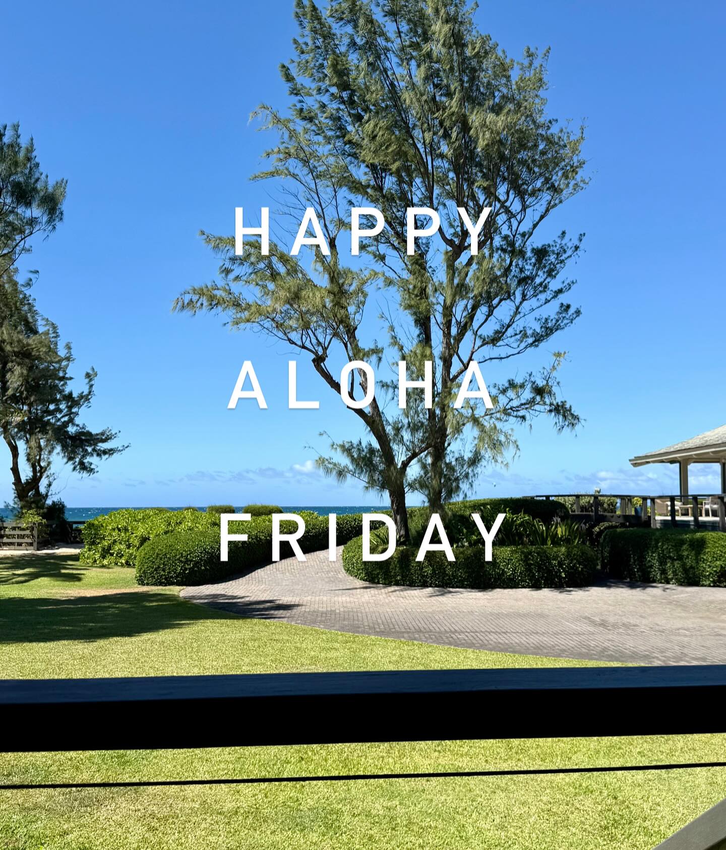 ✨ It’s Aloha Friday
No work till Monday ✨
🌊🏄♀️🌸
