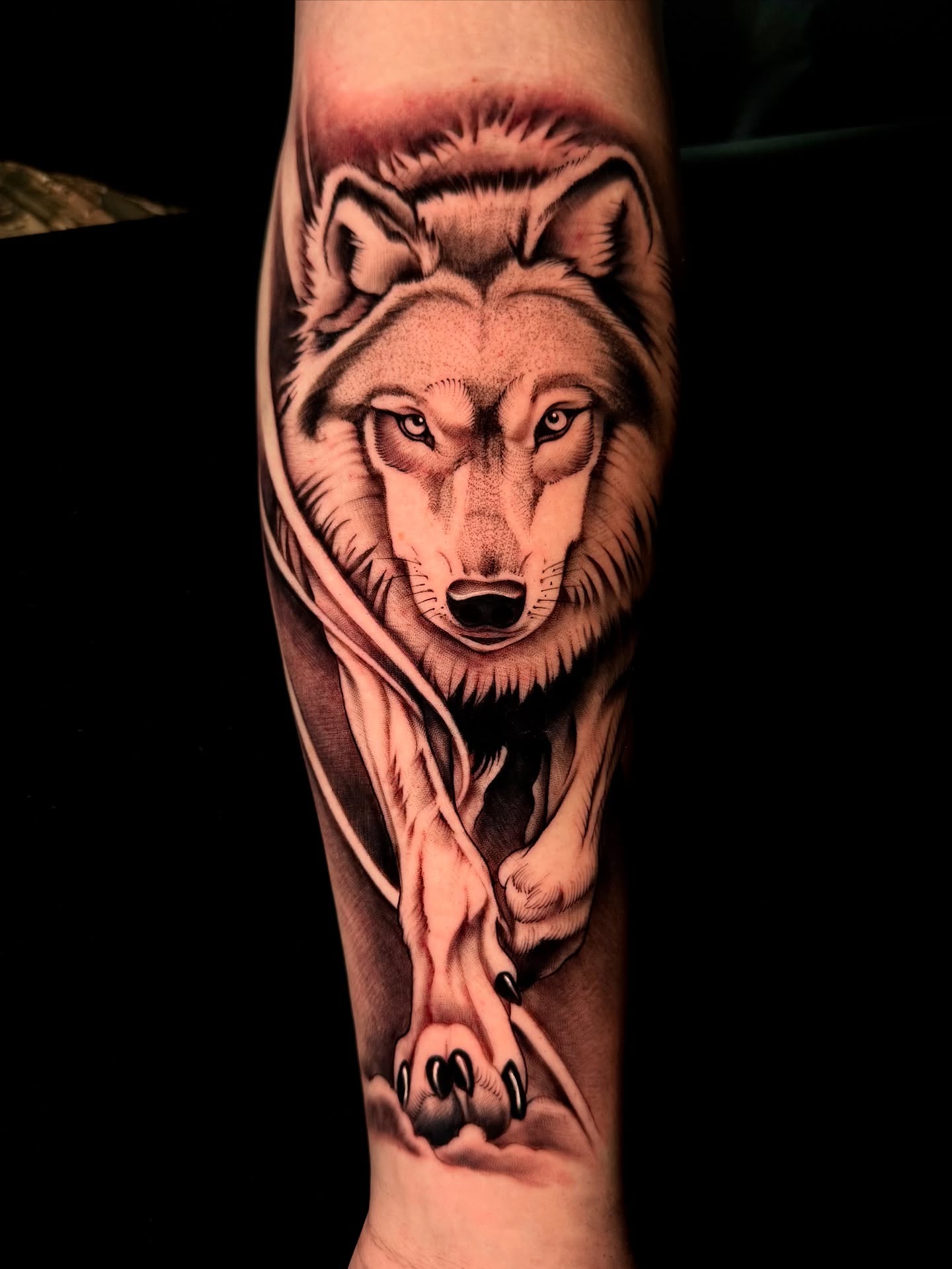 ✍🏽Artist: Mike Aveno @mikeaveno_tattoos
🗓️Books: OPEN
To book: 📧marsinktattoo@gmail.com
📱 (408)508-9130
💲Deposit Req
•
•
•
#bayareatattooartist #marsink #marsinktattoo #california #bayarea #tattoos #sanjose # #sanjosetattooartist #bayarea #wolftattoo #armtattoo