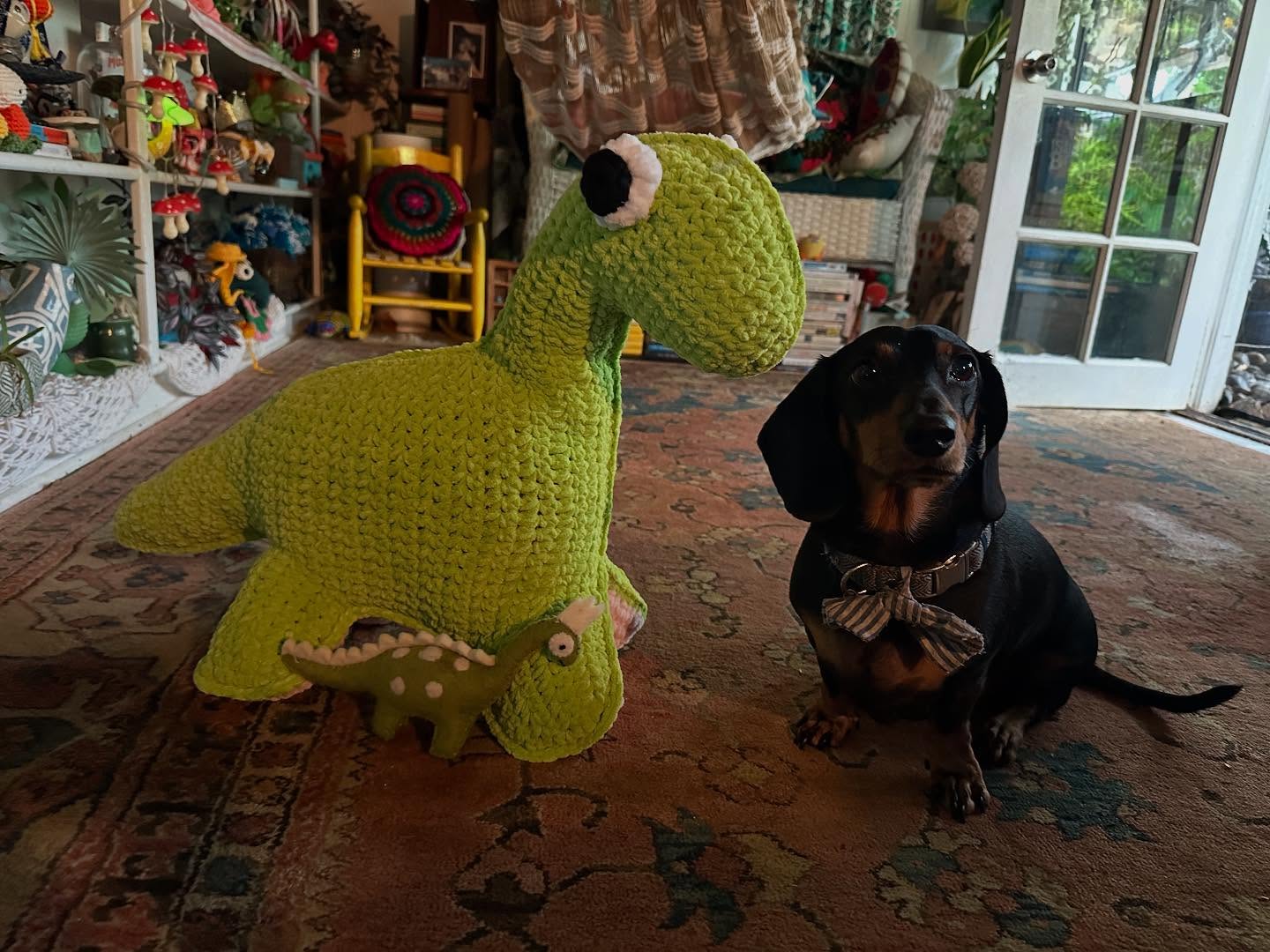 Look I crocheted 🧶 a fun dinosaur for my mama @elwoodbluesdachy my trusty model is standing by for perspective 🤗 pattern @alteregocrochet #billythebrontosaurus