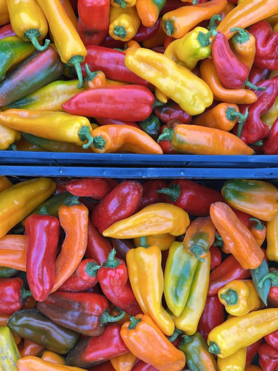 Sweet peppers coming to fort greene tomorrow πβ€οΈπ§‘
@grownyc_brooklyn @cngfarming