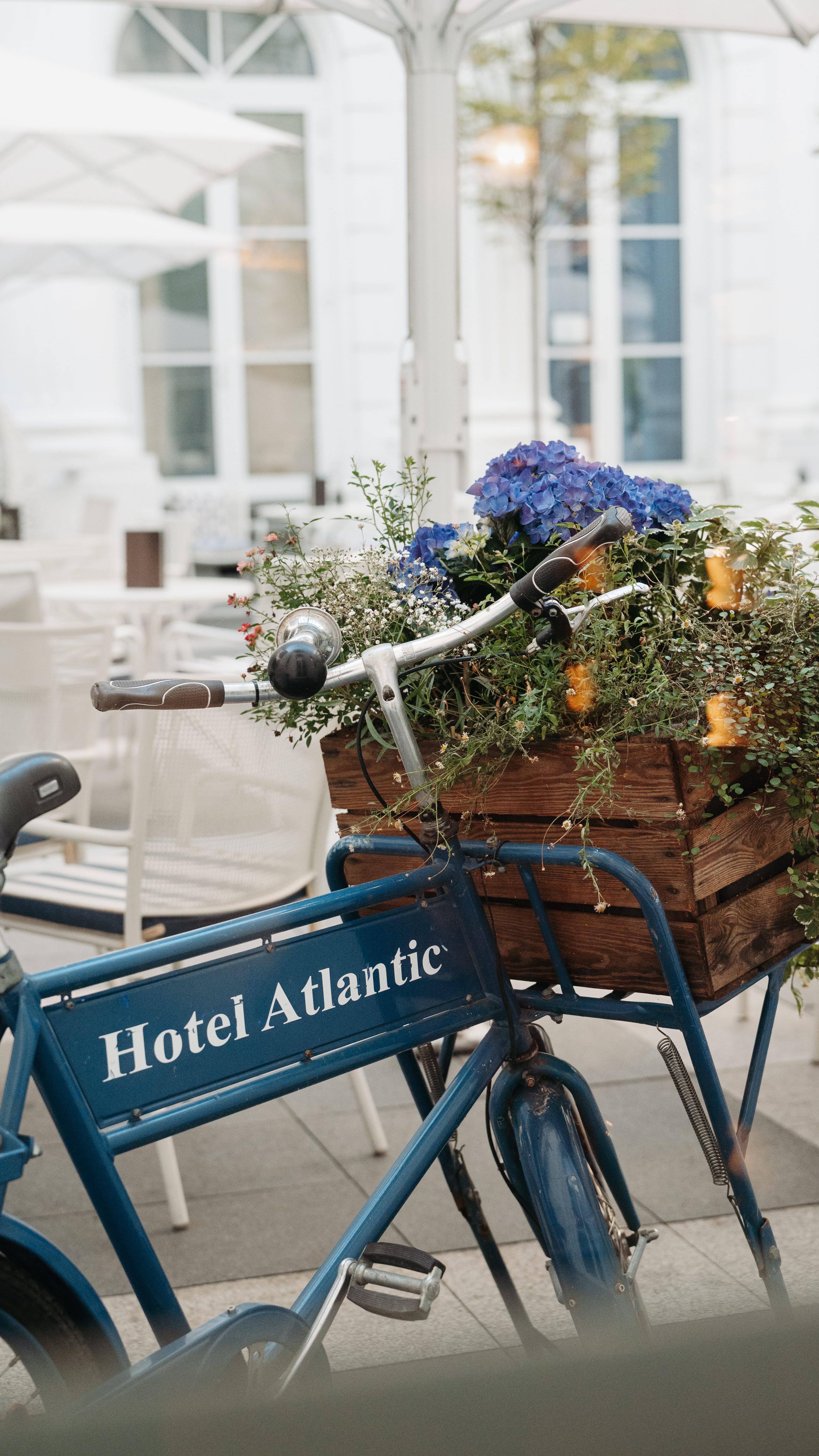 Ein Abend voller guter Gespräche, cooler Vibes und diesem ganz besonderen Atlantic-Gefühl. @hotelatlantic 🥂✨ Ob Afterwork, große Momente oder eure Liebesgeschichte – ich bin da, um sie für euch festzuhalten. 🤍
#AfterworkVibes #AtlanticHotel #HotelAtlanticHamburg #HamburgLove #HamburgWeddingPhotographer #Hochzeitsfotograf #WeddingVibes #LuxuryWeddingHamburg #HanseaticVibes #ModernLoveStories #WeddingPhotography #HamburgMoments #lovecaptured
