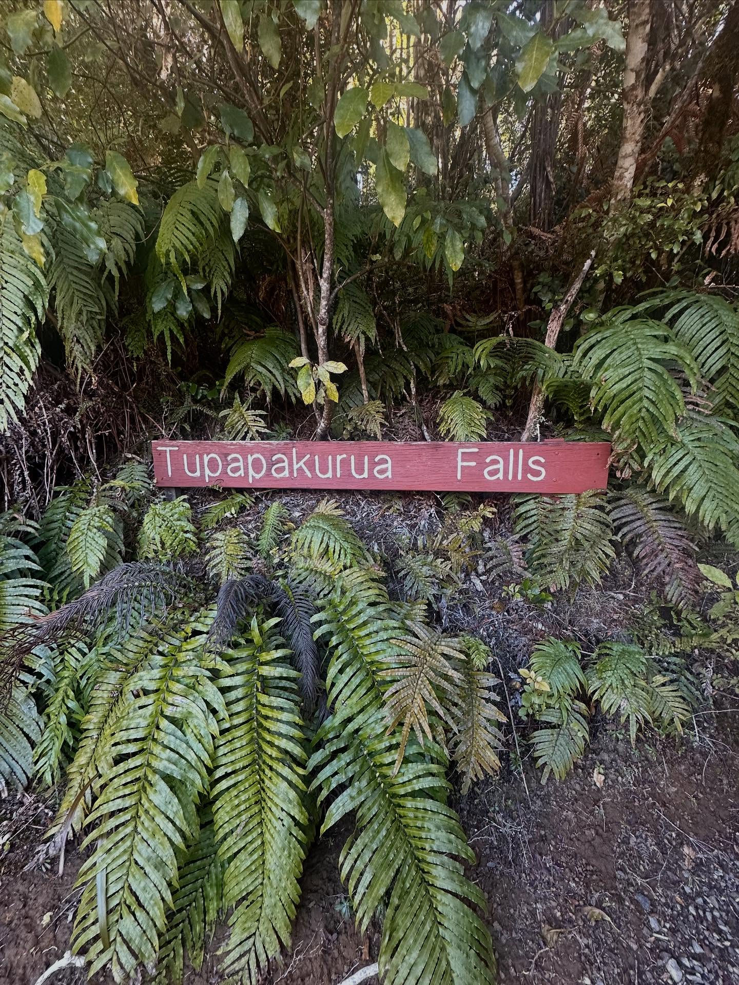 A fantastic walk right by Adventure Lodge!
A 2 hour return trip will reward you with views of Taranaki and lush bush tracks ๐ณ
You may even see a Kiwi!๐ฅ
๐https://www.adventurelodge.co.nz