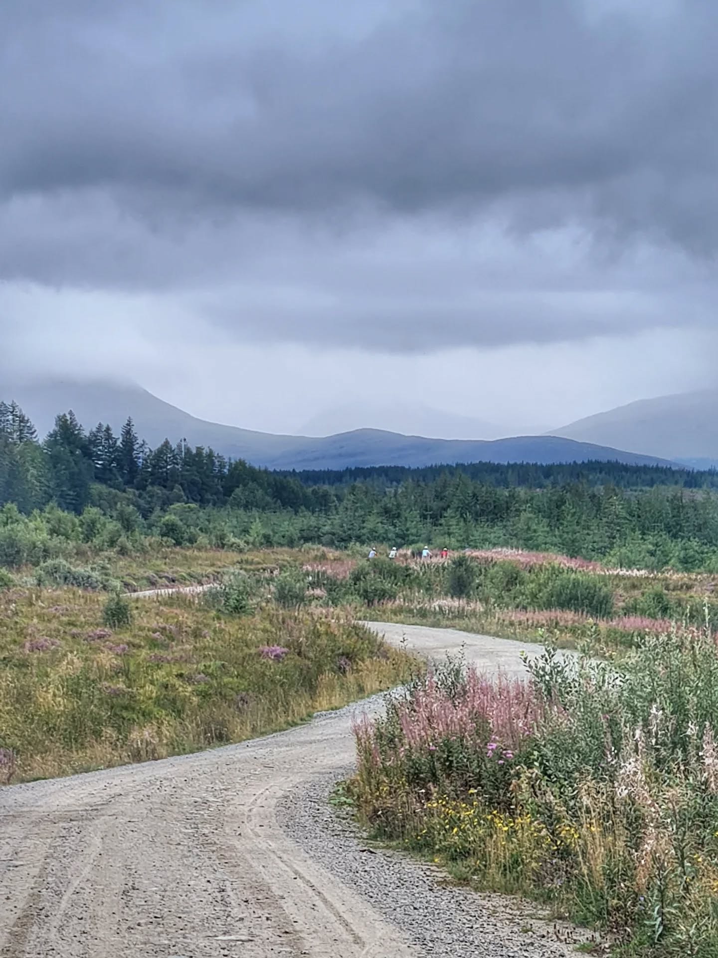 Day 1 guiding to Ossian Hostel - and eating the best venison vurgers at @corrourstationhouse
Misty and moody, but still stunning 😍
.
.
.
.
#bikepackingadventures #bikelife #bikepacking #bikepackingscotland #adventure #guidedbiketours #guidedgravelbikerides #femaleleaders #Scotland