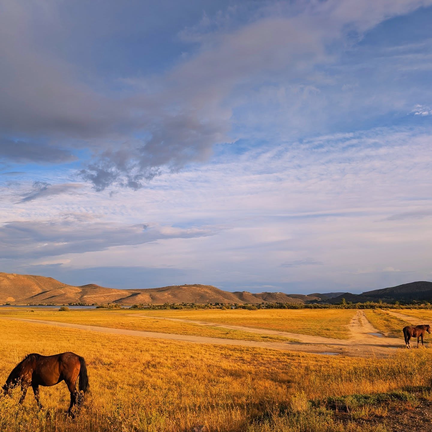 How the day ought to end. #grazing #zakunscripted