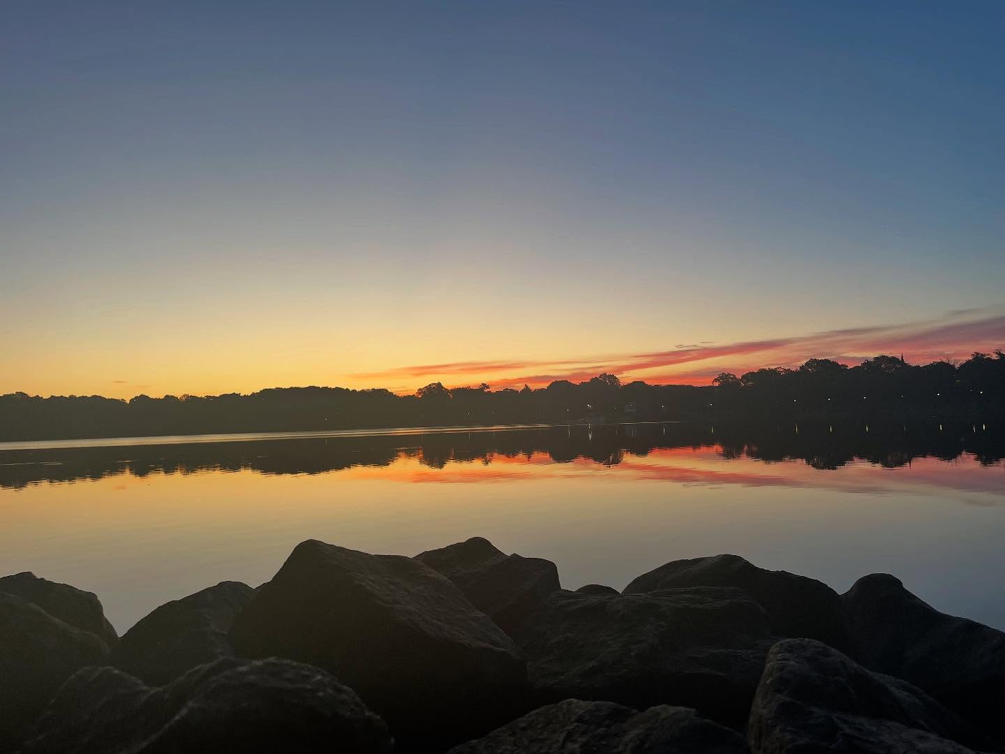 "The sun rises, scattering its gold over the earth. Let your soul be warmed by its light." Rumí