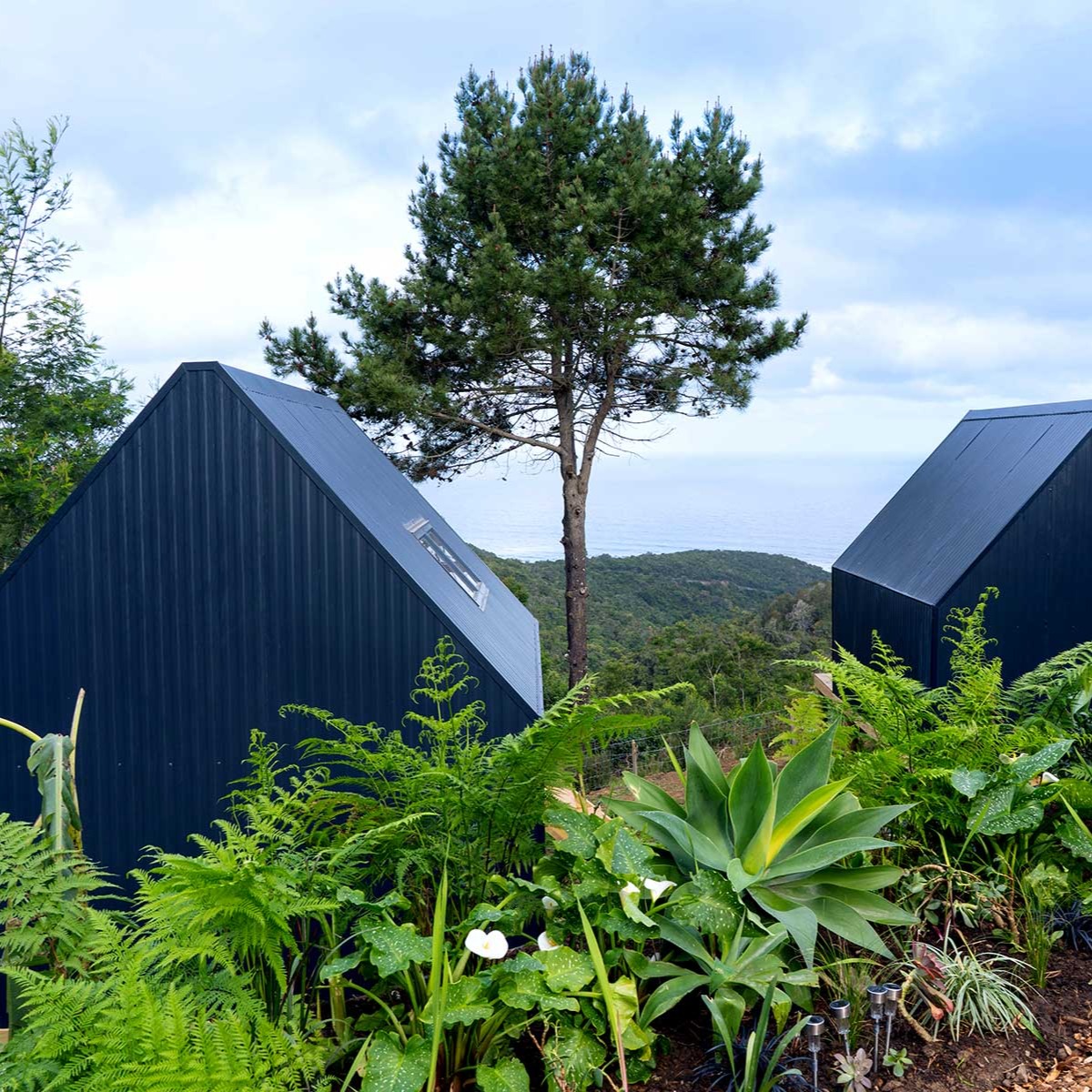 🌿✨ We’re officially taking bookings! ✨🌿
Spring is around the corner, and there’s no better place to soak it all in than at Map of Africa Boutique Glamping. Imagine waking up in a cozy hut with breathtaking views over the forest, valley, and ocean. 🌸⛺️🌊
Your Wilderness escape is waiting.
📍 Book now at www.mapofafrica.co.za
#MapOfAfrica #WildernessSA #GlampingSouthAfrica #SpringGetaway #BoutiqueGlamping