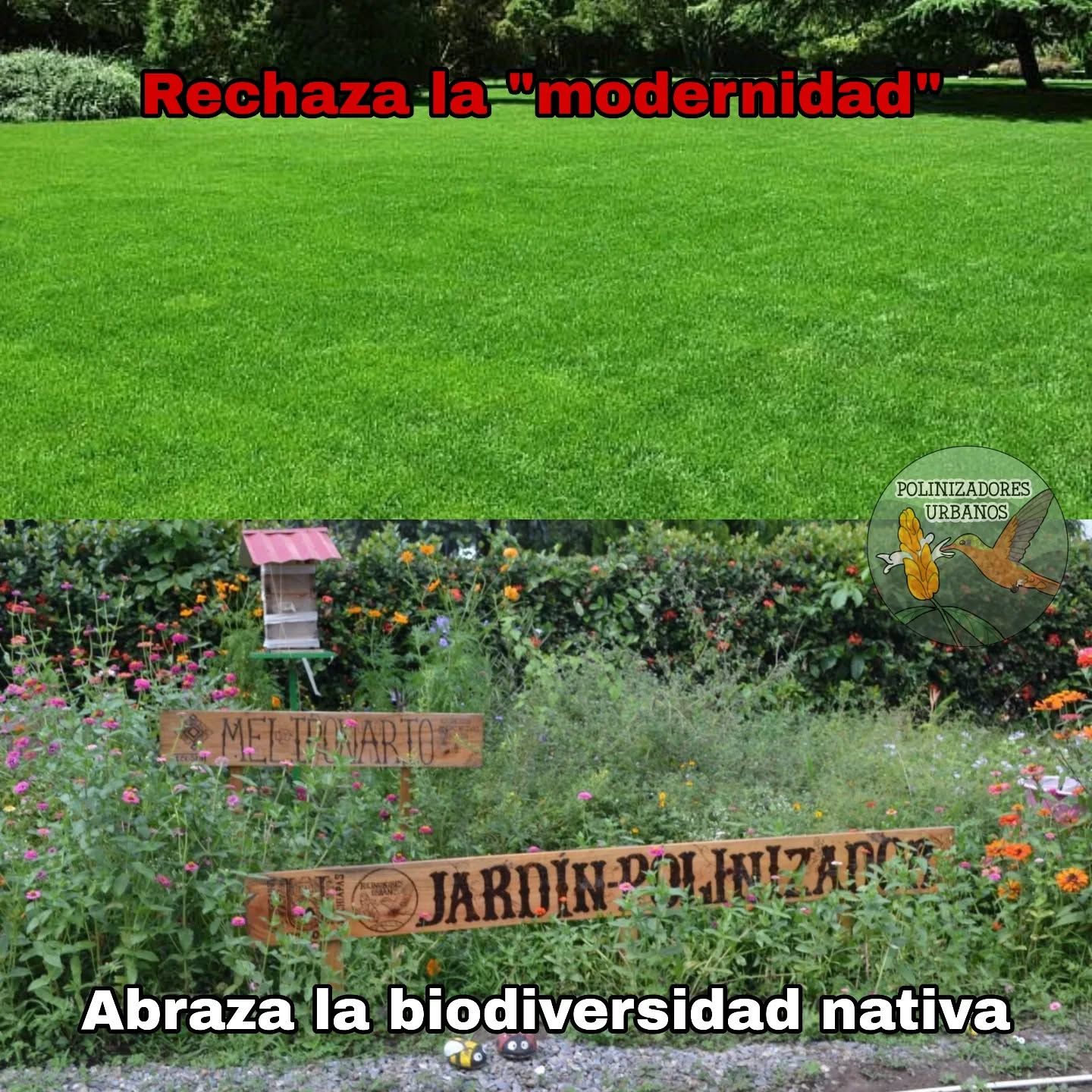 ¿En que momento fueron remplazadas nuestras flores nativas por pasto? ¿Quién nos vendio esa idea de que un jardín debe ser cuadrado y uniforme? ¿Como porque estamos buscando tener jardínes estilo europeos o estadounidenses en plena costa de Chiapas?
Hay que aprender a descolonizar el conocimiento.
#polinizadores #abejasnativas #JardinesPolinizadores #Biodiversidad