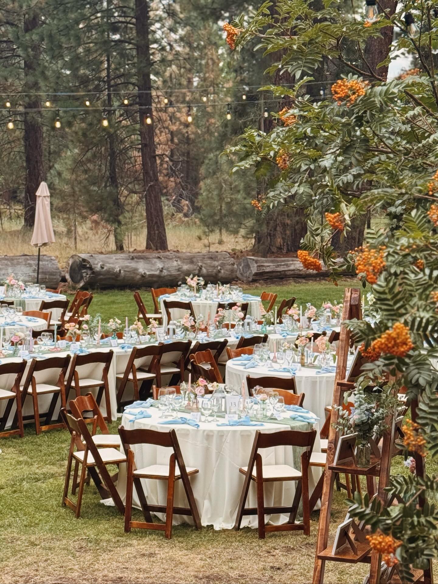 Turns out gloomy vibes makes for the most romantic lighting!!
🧡
🧡
Venue: @valhallatahoe
Coordinator: @eventplanningbyannie
Catering, Rentals & Bar: @thehiddentable
Photographer: @mckenzielynn_photography
Videographer: @alleyroseco
DJ: @mcclainsmobiledj
Florals: @gardenvalleyflowerfarm
Hair & Makeup: @coppersalonandspa