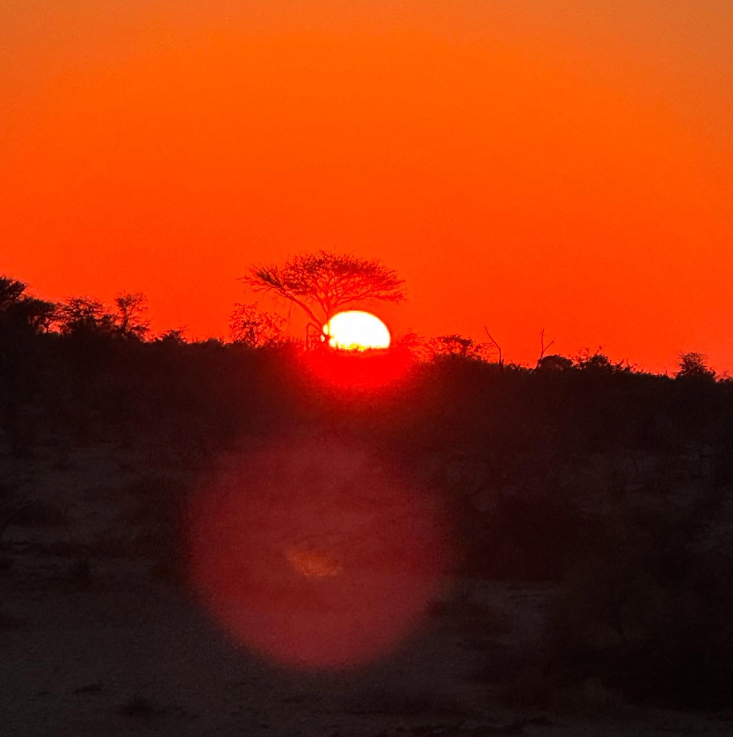 The original paradise.
Pilgrimages trip…
Divinity, up close.
#africa #botswana🇧🇼