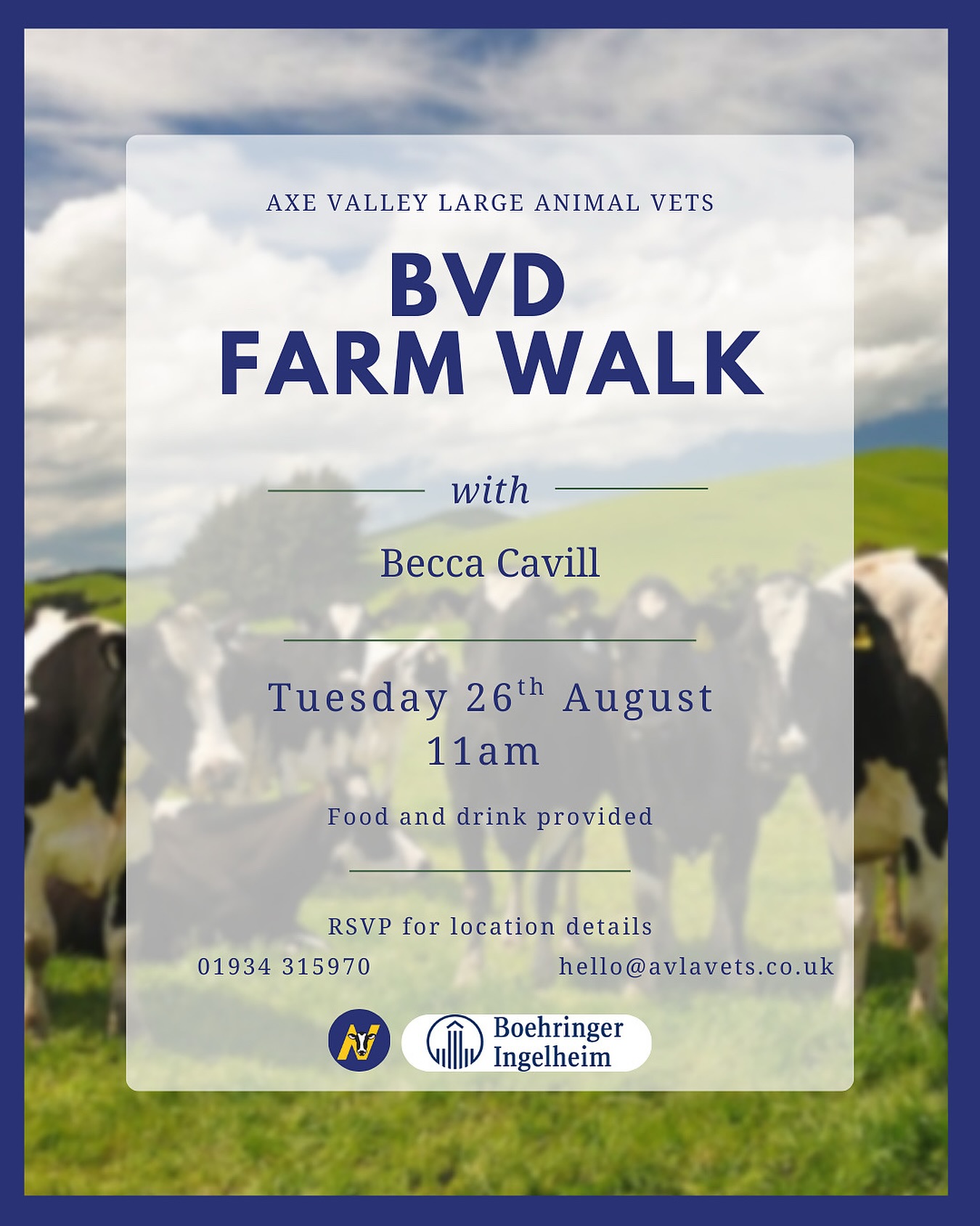 Don’t forget this is tomorrow! If you’d like to know more about BVD and the Government funding available for testing then it’s not one to miss! It’ll be held towards Godney/Wells but let us know if you’d like to attend for specific directions 🐮