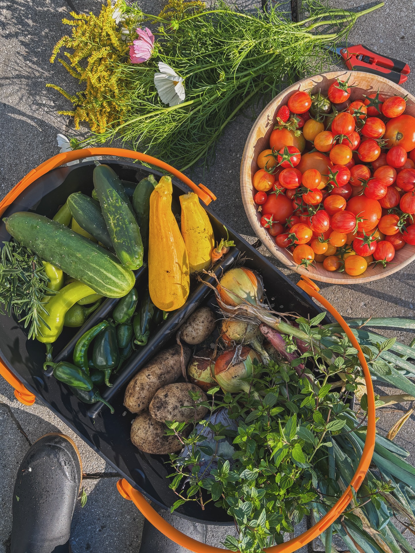 ⏰ One thing I’ve learned on this homesteading journey is that time doesn’t just “appear”. You have to make it. Between work, tending the garden, caring for all our animals, and everything in between, I’ve decided to try time-blocking my days so I can be intentional about where my energy goes. A set hour for the garden, a block for chores, another for work and business, and hopefully the overwhelm will turn into rhythm. 😌
Because at the end of the day, balance isn’t found, it’s created.
👉 Do you time block your days or just flow with whatever comes?
Also, check out this Monday morning harvest 😍