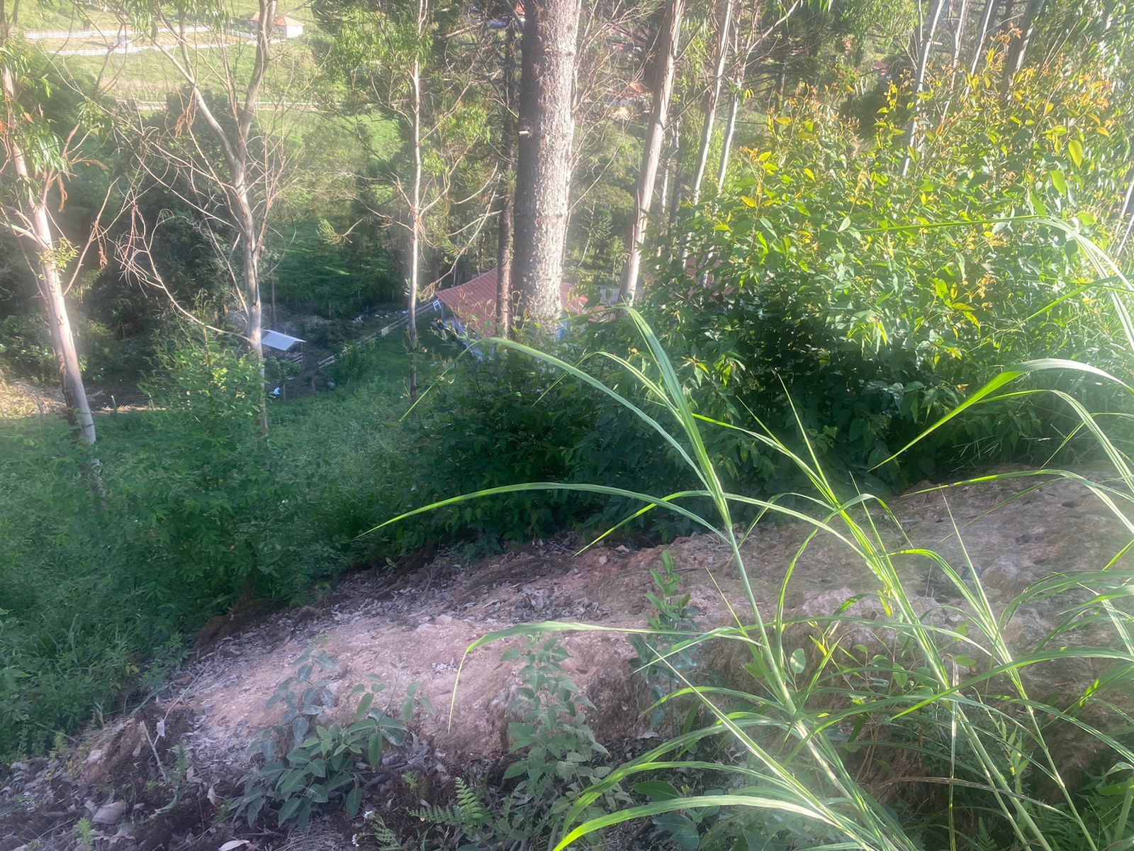 ÁREA DE 1HA PRÓXIMA À ENTRADA DE DELFIM MOREIRA.
Ótima localização, sendo em um ambiente tranquilo e ao mesmo tempo próximo dos comércios essenciais e do centro da cidade.
Possui água da cidade.
Energia próxima.
Vai faceando a estrada.
Oportunidade única de adquirir um imóvel na Serra da Mantiqueira.