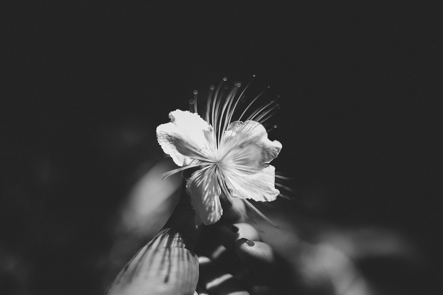 Impermanence , 2023.