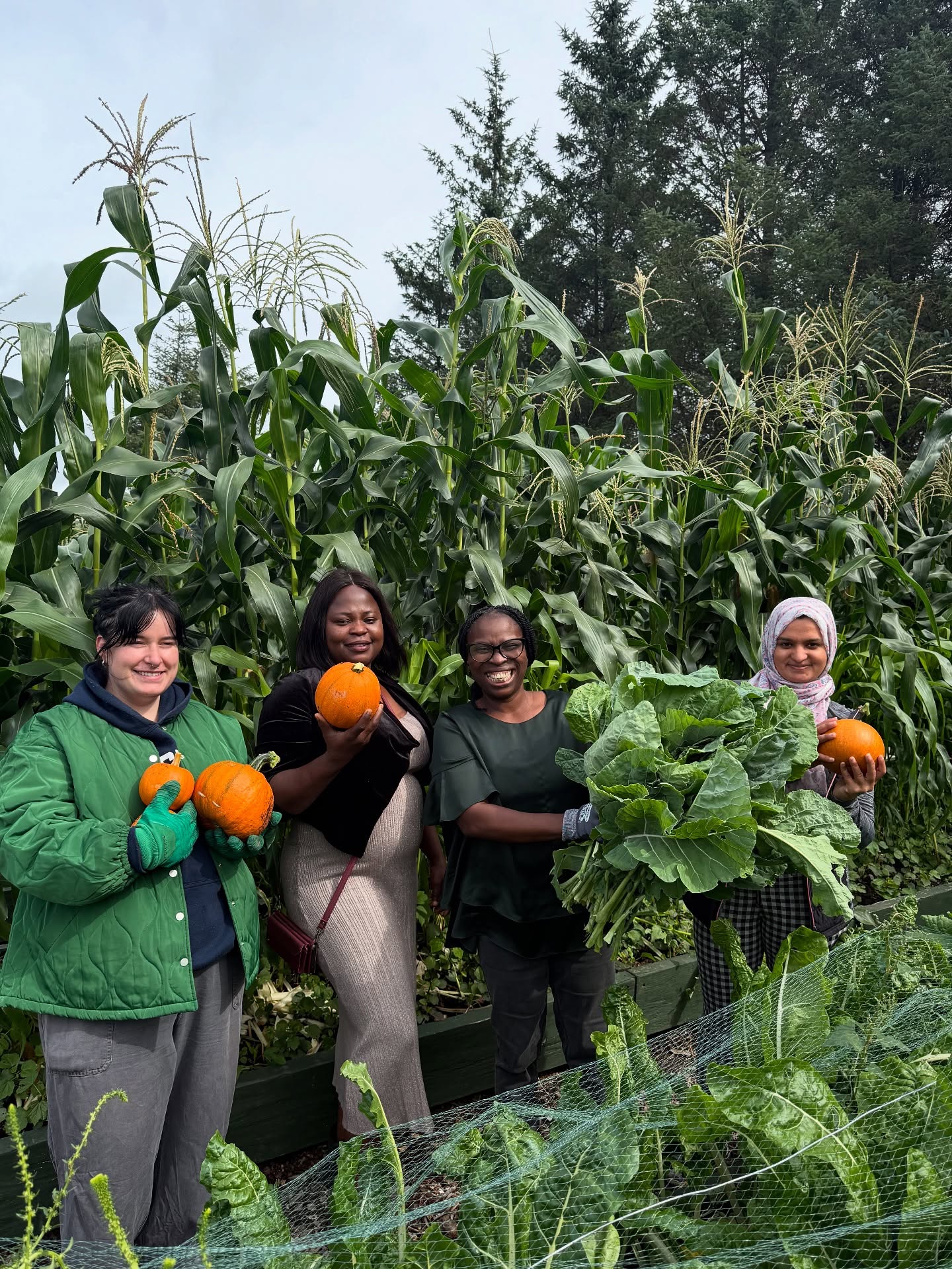 Beautiful harvest day 🎃🌿 Today we gathered pumpkins, spinach, and kale together with the women – such a joyful moment in the garden! Pumpkins are not only colorful and delicious but also full of vitamins and nutrients. You can enjoy them roasted, in soups, curries, or even baked into bread and cakes. Spinach and kale are perfect for fresh salads, stews, or a healthy green smoothie. Nothing better than cooking and sharing fresh food straight from the garden! 💚 #HarvestDay #PumpkinSeason #FreshFromTheGarden #Community #cork #ireland