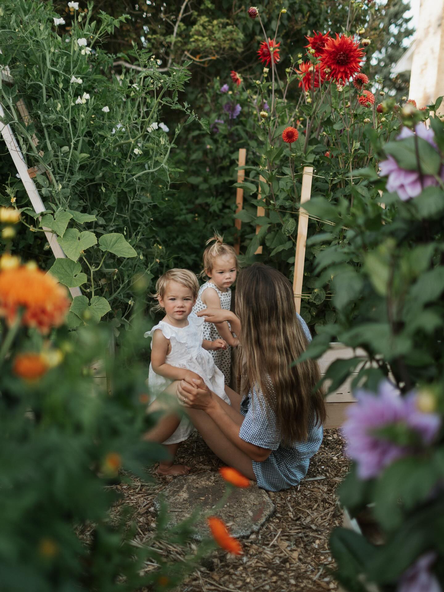 Hi!!! Here’s me with my precious garden girls in our beautiful, extravagant, insanely amazing garden 🐝🐝 I’m back on here to say that I’m here- Im back after a much needed hiatus with my honeys.
My brand will be changing direction just a bit, and for those of you who stick around to see, I’m very excited to show you 🌸
Thank you for still being here!! Love to you all 🤍