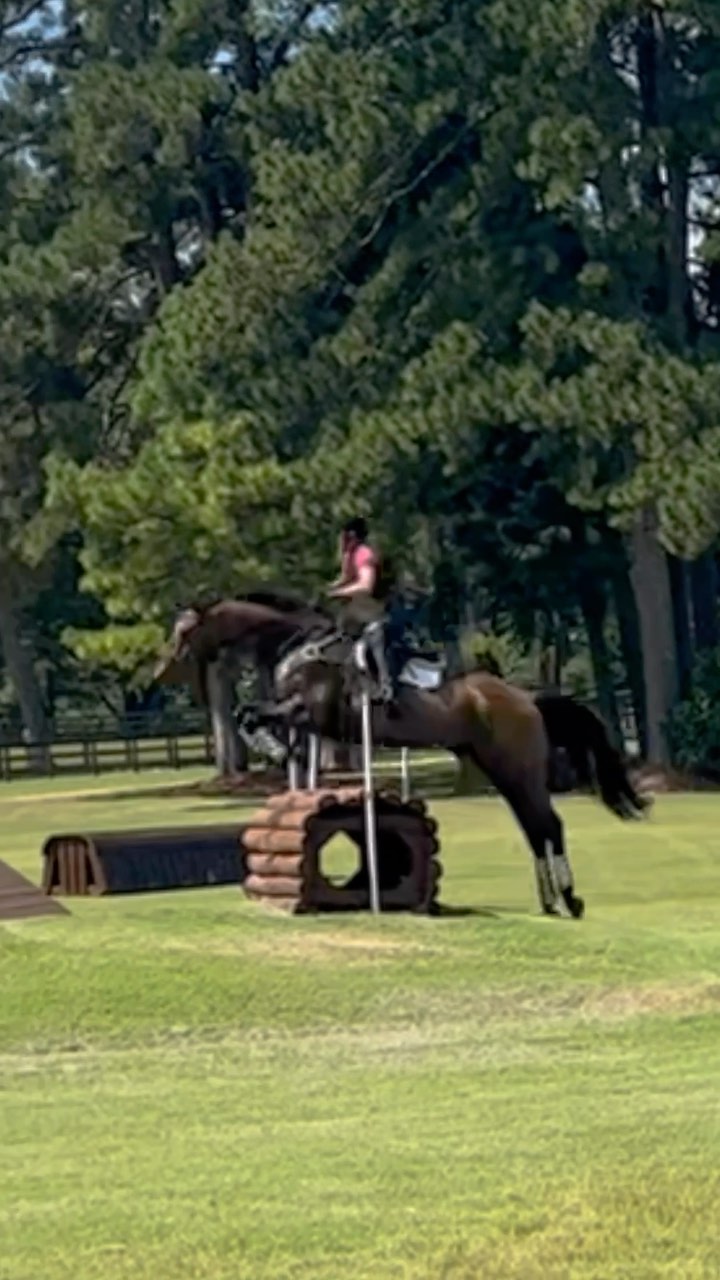 Great cross country school today with Ted and @sim1rob and @meghamundo preparing for Five Points @carolinahorsepark #millereventing #fernhillfreestyle🍀