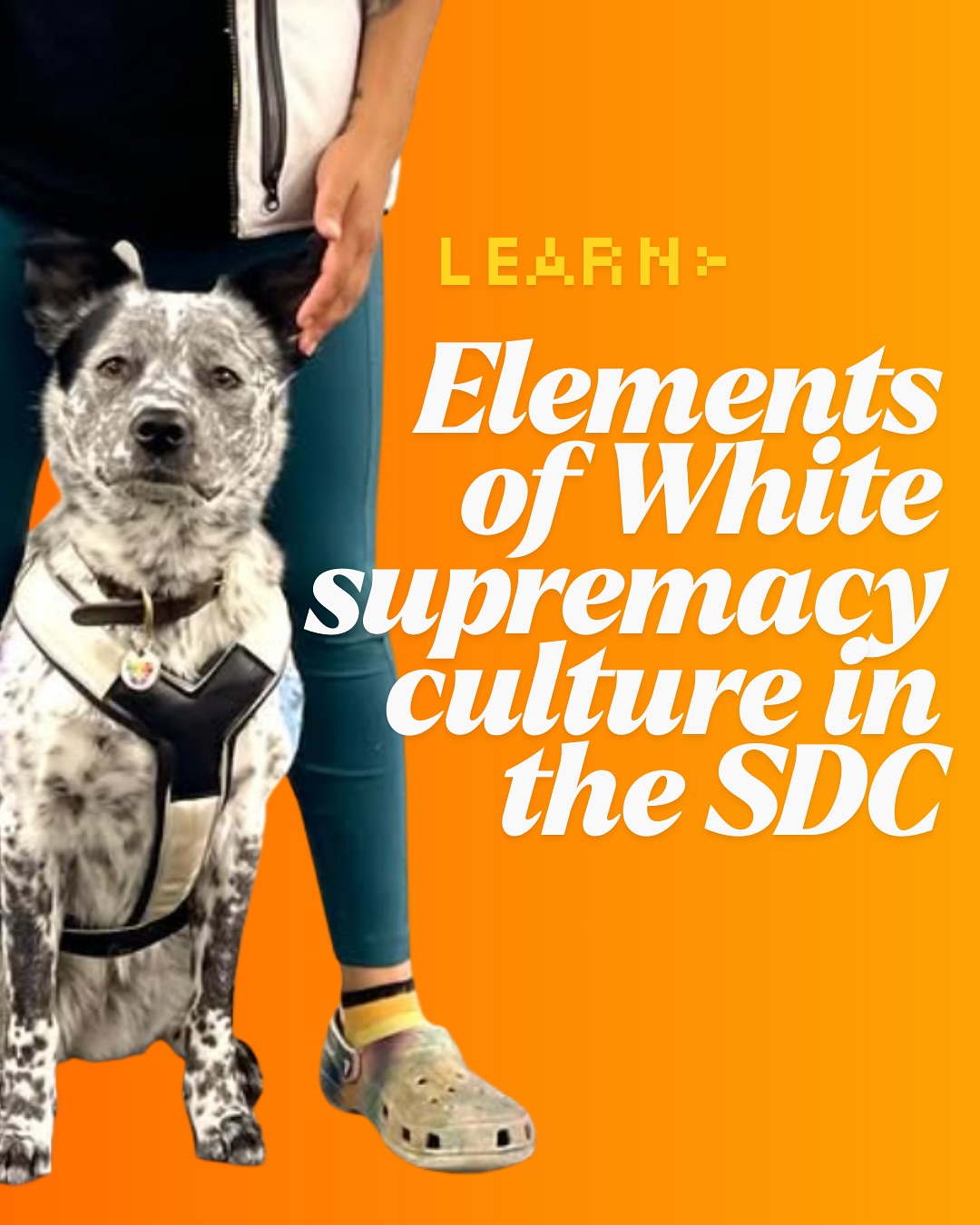 based on Dismantling Racism: A Workbook for Social Change Groups, by Kenneth Jones and Tema Okun, 2001
please engage respectfully. if you're feeling challenged... good!
Aspects of White supremacy present in the SDC include perfectionism, sense of urgency, defensiveness, either/or thinking, power hoarding, and individualism. Put away your pitchforks. In this context, White supremacy doesn’t mean outright racism or bigotry (though these values are breeding grounds for such concepts). We’re talking systems our culture has left behind.
Is there something you'd add? What else do you notice? We want to hear from you!
(You may recognize this as a repost from co-founder @feywild.dogs ! It's posted here with expressed permission and consent!)