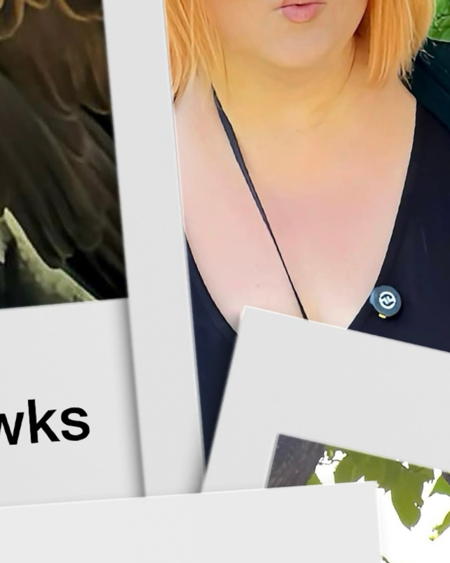 When hawks spiral up in a thermal, they’re rising with purpose.
Migrating, searching, watching.
Look up. The sky is full of stories.
Hashtags:
#SkyWatching #KettleOfHawks #LookUpMore #NatureNarratives #GatherOfGatherings #BirdMigration #HawkSeason #PoetryInFlight #StorytellingPodcast