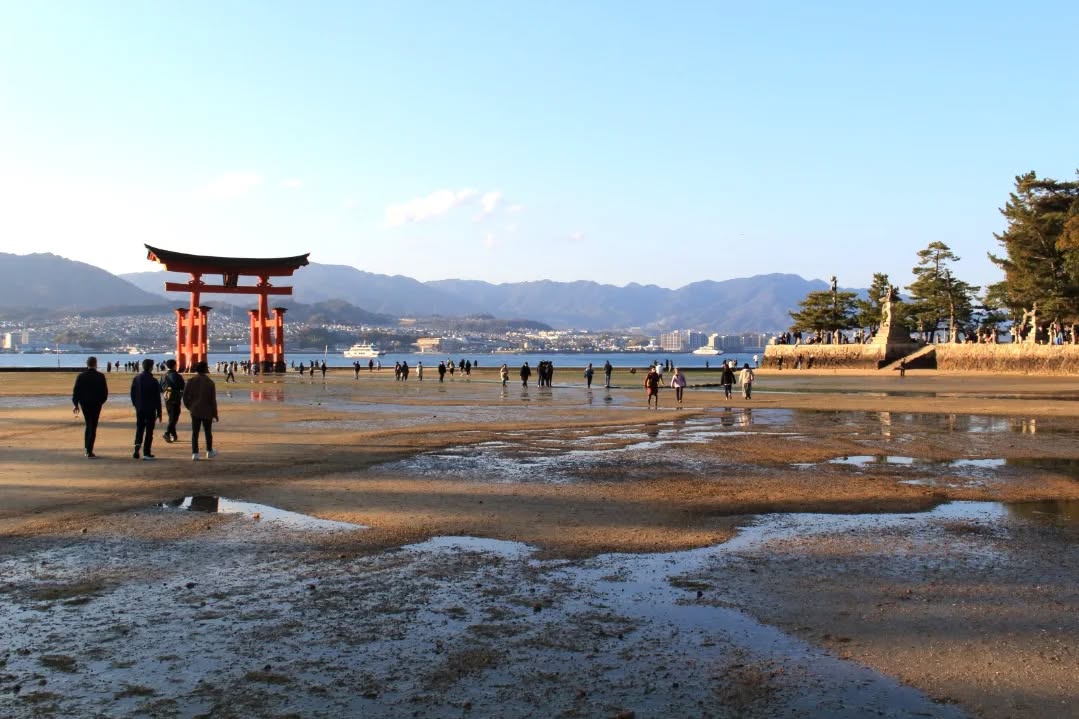 Un día en el Tori
#miyajima #japan #sea #tori