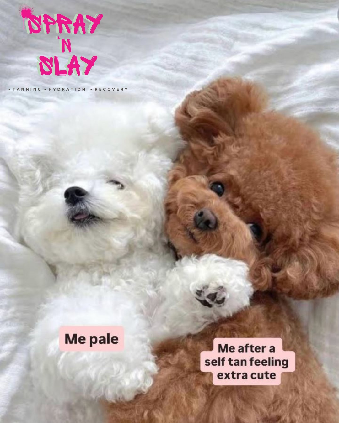 Book Your Tan & Get Hella Cute!
Glow up season is here! Go from “Me milky🤍” to “Me chocolattteee🤎" in just minutes at Spray ‘n Slay✨.
Enjoy vegan, cruelty-free, incredible tanning that leaves your skin hydrated and glowing—all year round!
Ready to transform? Book your tan and get hella cute & chocolaty with us today!
Tap to book: https://www.spraynslay.com.au
#SprayNSlay #TanGoals #GlowUp #SelfTan #GetBronzed #FeelingCute #GeraldtonTan #VeganTanning #CrueltyFreeBeauty #HydratedSkin #BronzedBabe