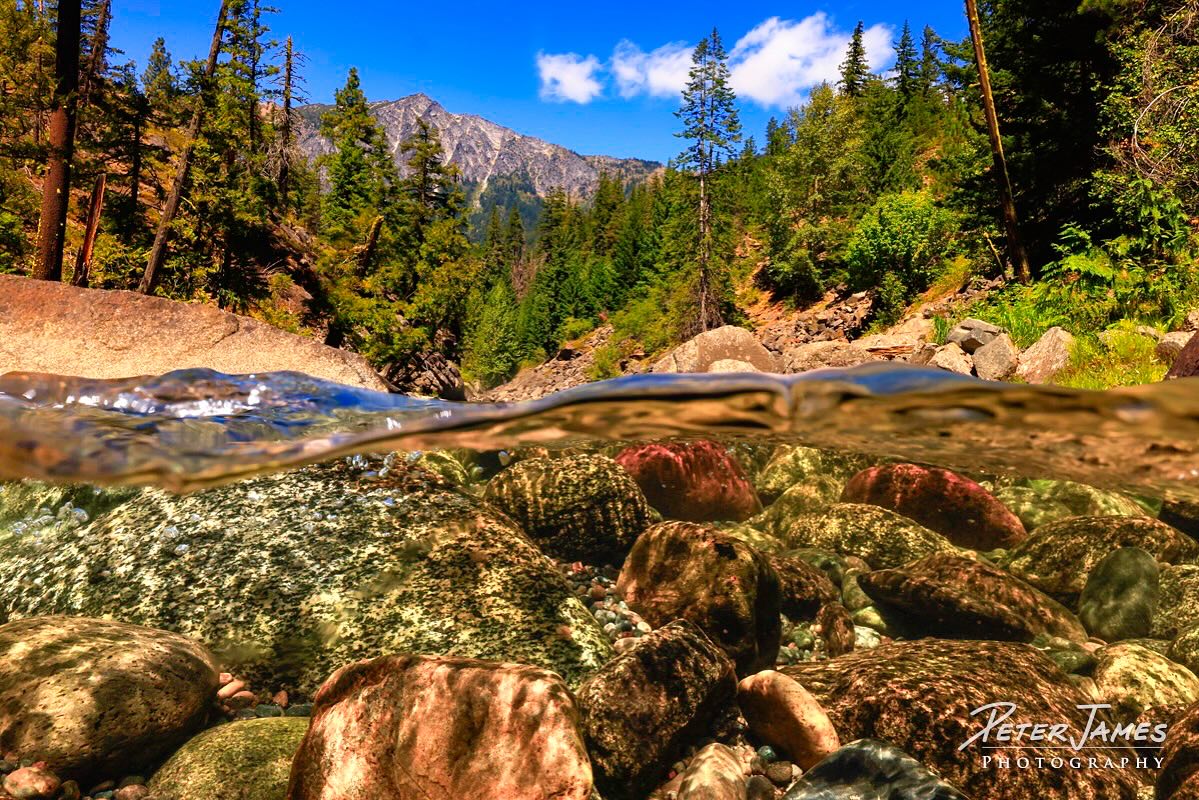 Under Icicle Creek’s Icy Waters
It was the height of summer just outside of Leavenworth, Washington—those long, golden days when the air itself feels warm enough to melt time. But Icicle Creek, which roared more like a river than a creek, wasn’t about to play along with the heat. True to its name, its waters were bone-chilling, a liquid glacier winding through the valley.
I zipped into a wetsuit, sealed my camera into its scuba housing, and dove straight into that icy flow. For the next hour, I swam, crawled, and scrambled through the rapids, chasing the perfect angle where sunlight met stone, where the hidden textures beneath the surface echoed the grandeur of the jagged peaks and towering old-growth trees above.
To frame each shot, I had to hold my breath, put my face halfway under, and peer into that crystal clarity, letting the cold shock me awake again and again. The resulting image carries that same exhilarating contrast: the searing heat of summer balanced by the joy of plunging into something wild, refreshing, and alive. It’s a photograph of pure summertime bliss—sun on your back, glacier water chilling your bones, and the spirit of Icicle Creek running right through you.
#IntoTheWild #ChasingLight #WildernessCulture #AdventureAwaits #FindYourWild #NatureHeals #peterjamesphotographygallery