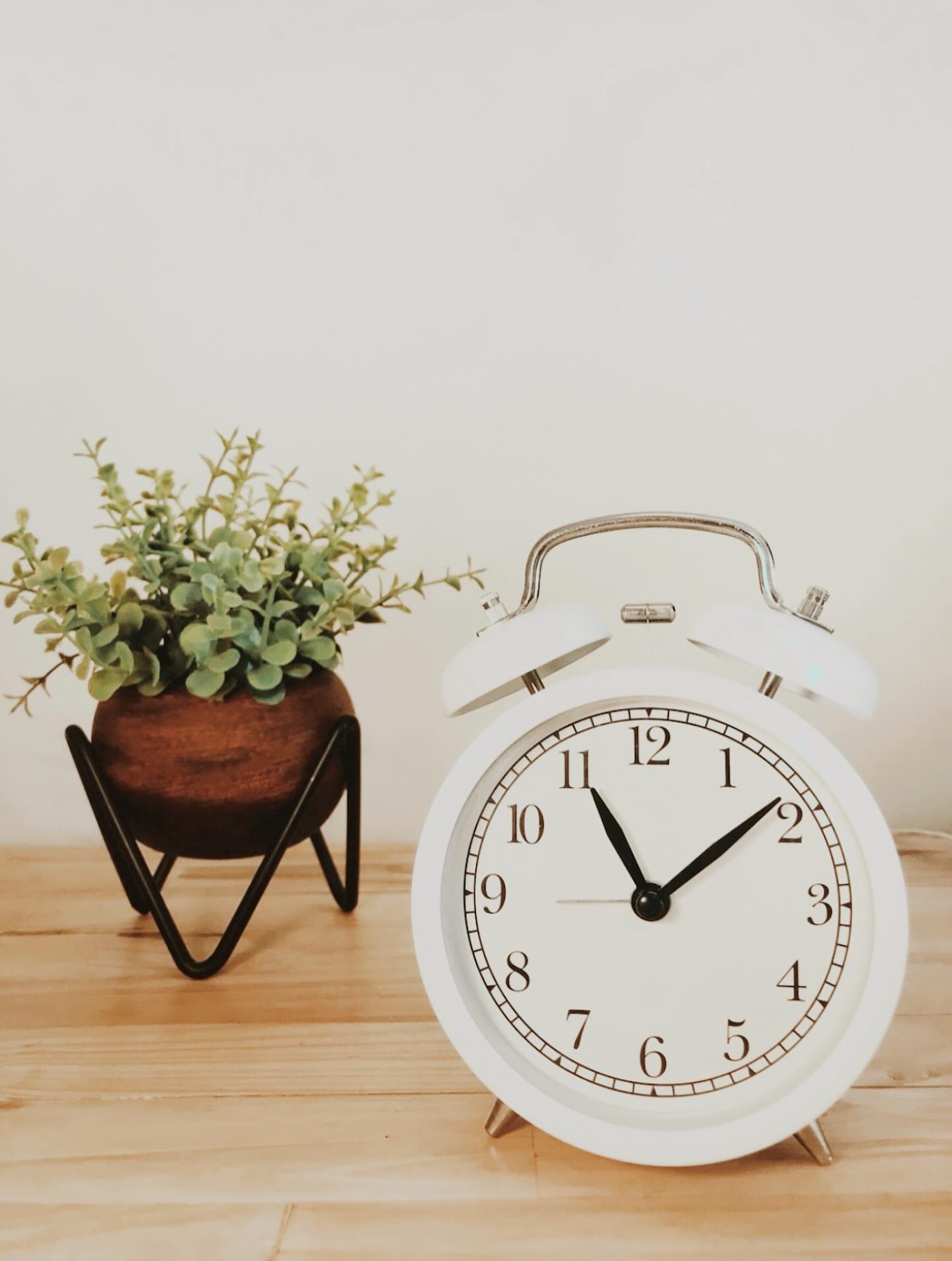 🕒 Heads up, herbal heroes! 🦸 🌿
Our apothecary hours are getting a little shake-up this week! 📅 We’re taking a well-deserved break this Tuesday (because who doesn’t love a long weekend, right?). But fear not! We’ll be back in action on Wednesday from 10-4pm.
And then, hold onto your hats! This Thursday, we’re hitting the road to join our fellow natural ninjas from Bideford Pannier Market @mother.clucking.farm.devon at the Holsworthy & Stratton Agricultural Show 🐔🌿 Swing by to check out our herbal goodies, tincture blends, natural skincare and soap.
Oh, and don’t miss out on the musical magic of @directors_cut_music at 2:30pm! 🎶 See you there!