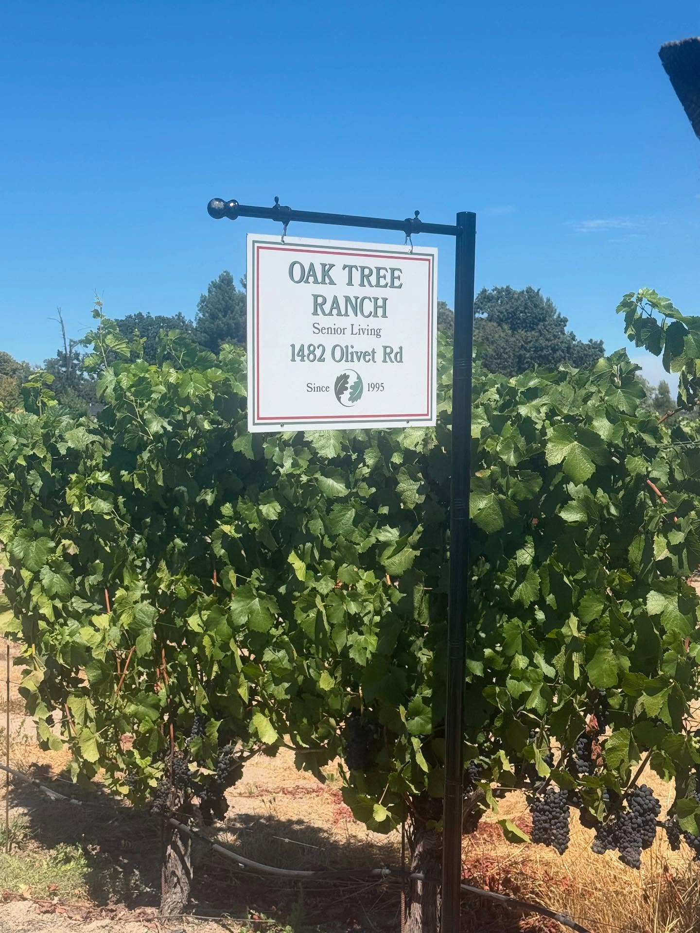 ✨ Welcome to Oak Tree Ranch Senior Living ✨
Nestled in the heart of Sonoma County wine country, our community at 1482 Olivet Road, Santa Rosa, CA has been family-owned and operated since 1995. 🌿
Here, residents enjoy a peaceful, home-like setting surrounded by nature, with the personalized care and warmth that only a family-run RCFE can provide. 💕
📍 Oak Tree Ranch – Senior Living with heart, history, and a view.
#SeniorLiving #SonomaCounty #RCFE #FamilyOwned #OakTreeRanch