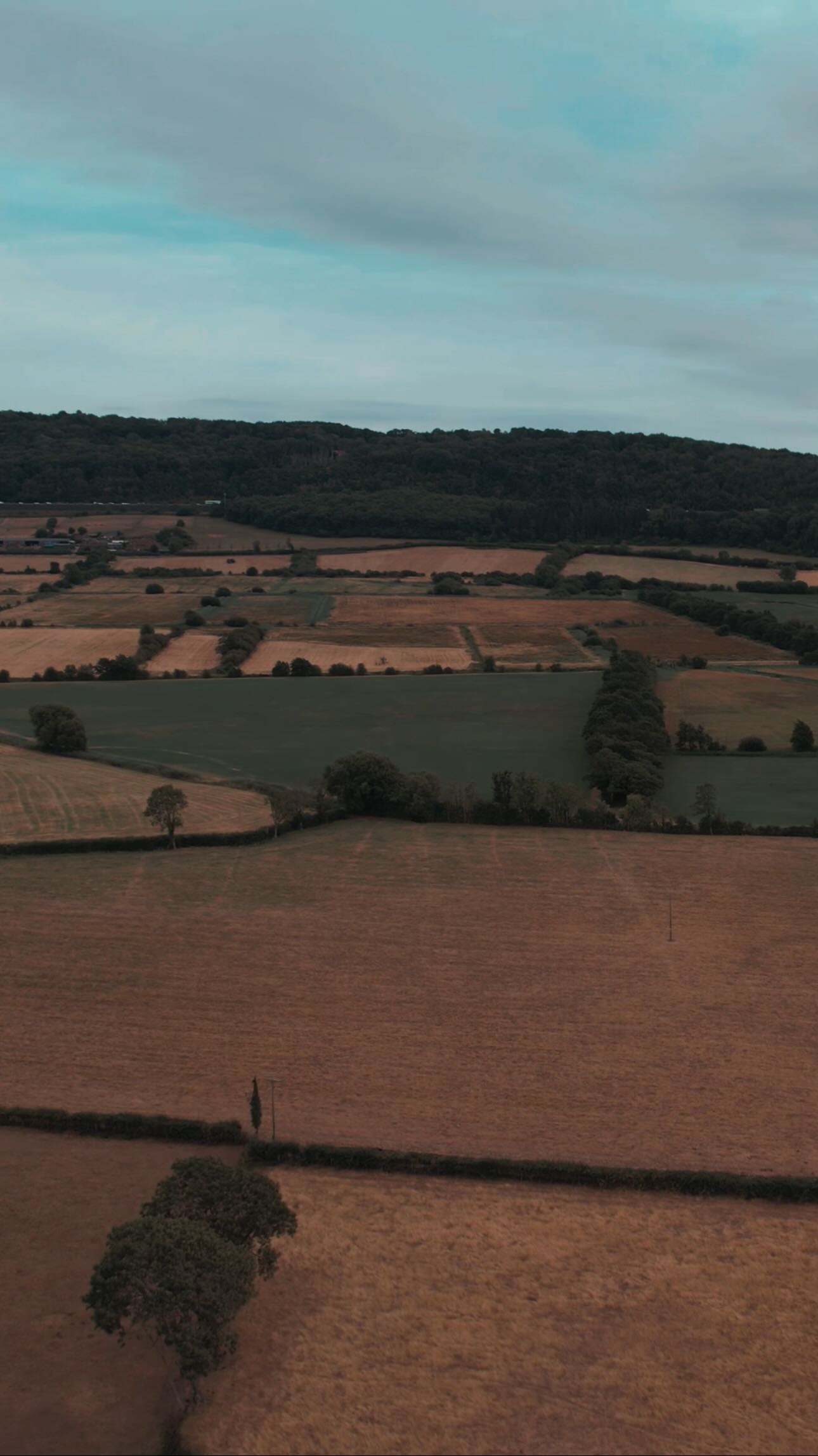 Love scares me.
historically from patterns in my childhood my familiar hell was difficult relationships. Men that were inconsistent, men that kept me on my toes in a way that made me doubt my worth.
Relationships like rollercoasters with huge highs and devastating lows.
It was exhausting, and each attempt left me licking my wounds and questioning my being for months
Now I’ve done the work and and processed my past, I can see the patterns for what they are ‘patterns’
I am more aware of the choices I make and the people I naturally attach myself to, I see the red flags I should, as opposed to running towards them and repeating the past
Love does still scare me as it comes with the risk of heartbreak but stepping in to a future relationship with my self worth strong and my eyes now open, means that even if they do leave I’m no longer alone because now I have myself.
And I like her ❤️
#recoveryispossible