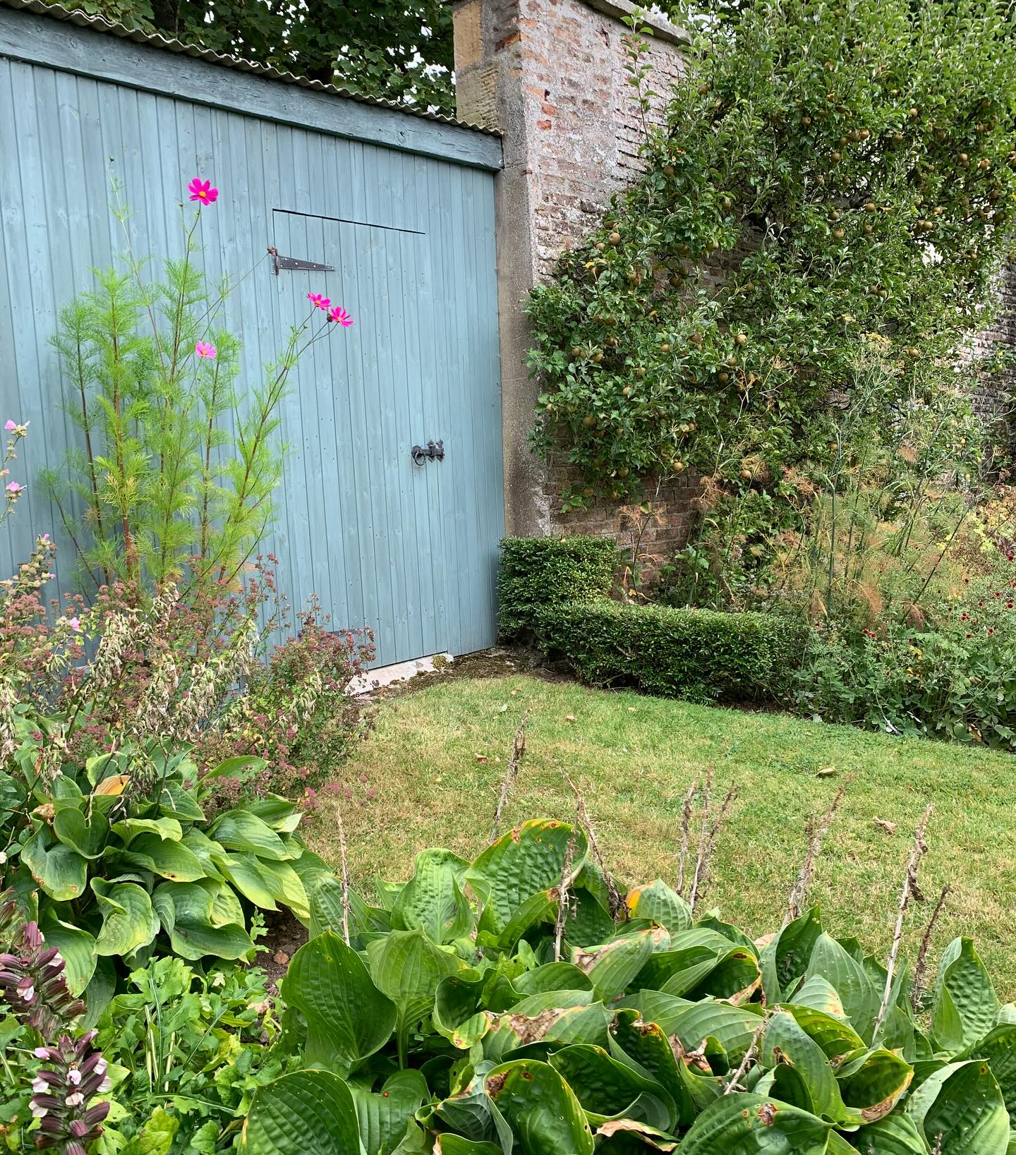 The back door. At one time, we think this would have been the main entrance into the Walled Garden from the pleasure grounds outside, very probably a gravelled walk from the big house through informal shrubberies past exotic trees of note. We’re not aware of a wrought-iron gateway, so the entrance could have taken the form of a wooden door within a larger door.
If you’re interested in finding out more about our garden in South-east Scotland, you might like to read our regular blog. You can find the link in our profile bio or visit www.thescottishcountrygarden.com.
#gardenblog #garden #thescottishcountrygarden #scottishcountrygarden #gardenbloguk #scottishgardenblog #headgardenersblog #countrygardenblog
#gardenblogger #summergarden#scottishgarden #scottishgardener #gardenjournal #scottishgardenjournal #gardendiary #gardenersdiary #oldgarden #walledgarden #oldfashionedgarden #walledgardenblog #gardeninscotland #thegardeninaugust #augustgarden
#gardenwriter #ukgarden #gardensofScotland #gardensofgreatbritain