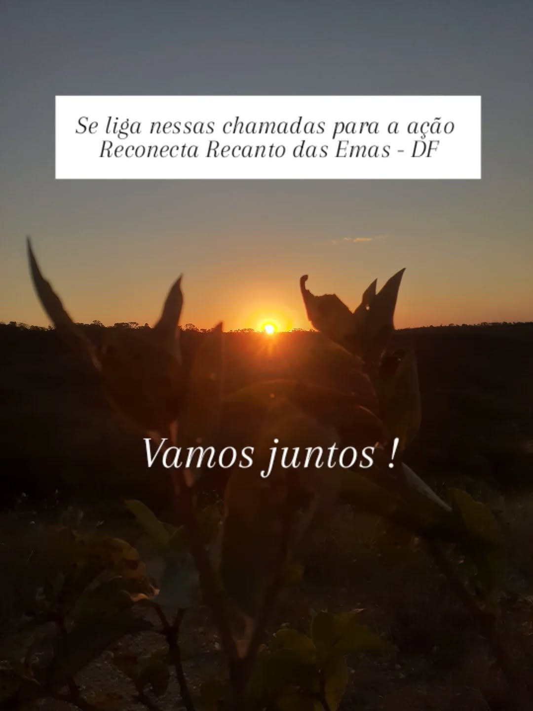 🌿 AÇÃO RECONECTA RECANTO DAS EMAS-DF🌿
No dia 30 e 31 de Agosto, o CECSA-DF em parceria com a COMDEMA do Recanto das Emas, te convida para a ação "Reconecta Recanto das Emas" 🌳
Juntos, vamos promover sustentabilidade na nossa região e fortalecer as políticas públicas do DF.
📅 Data: 30 e 31 de Agosto de 2025
📍 Local: Q 115 - Recanto das Emas, Brasília-DF, 72603-318 || Polo de extensão da UnB
📜 Certificado de Participação
FIQUE DE OLHO NA PROGRAMAÇAO QUE ESTÁ NO NOSSO FEED ➡️
#ReconectaDF