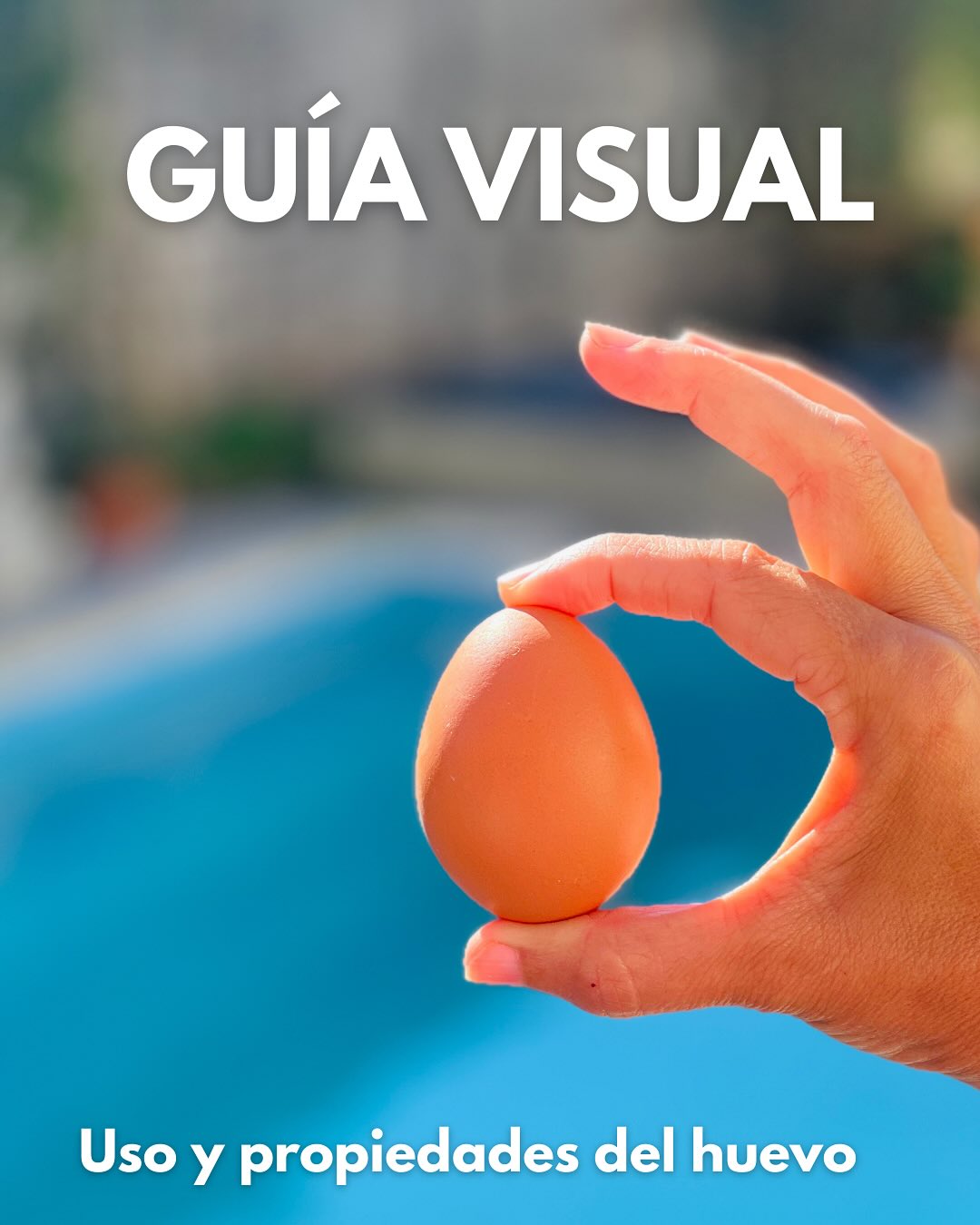 Y vos… ¿Conocías estos datos?