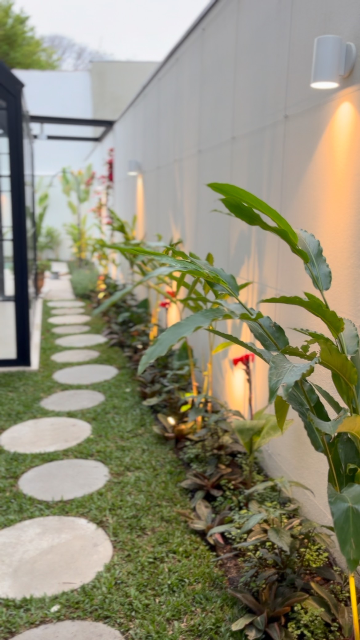 🇧🇷Este corredor (recém plantado) ficou muito charmoso 😍 colocamos plantas de crescimento mais “vertical” para não ficar obstruindo a passagem, além de uma estrutura com cabos de aço na parede para subirem as trepadeiras - escolhemos o Guaco, que é uma planta medicinal. No final, é possível ver a Primavera que já está sendo guiada até o topo do pergolado próximo à piscina do jardim.
.
🇬🇧This hallway turned out very charming 😍 We added plants that grow more vertically so they wouldn’t obstruct the passage, as well as a structure with steel cables on the wall for climbing vines—we chose Guaco, a medicinal plant. At the end, you can see the Primavera, which is already being guided to the top of the pergola near the garden pool.
#jardim #paisagismo #paisagismoresidencial #paisagista #designbiofílico #paisagismoecológico #decoração #reformaeconstrução #arquitetura