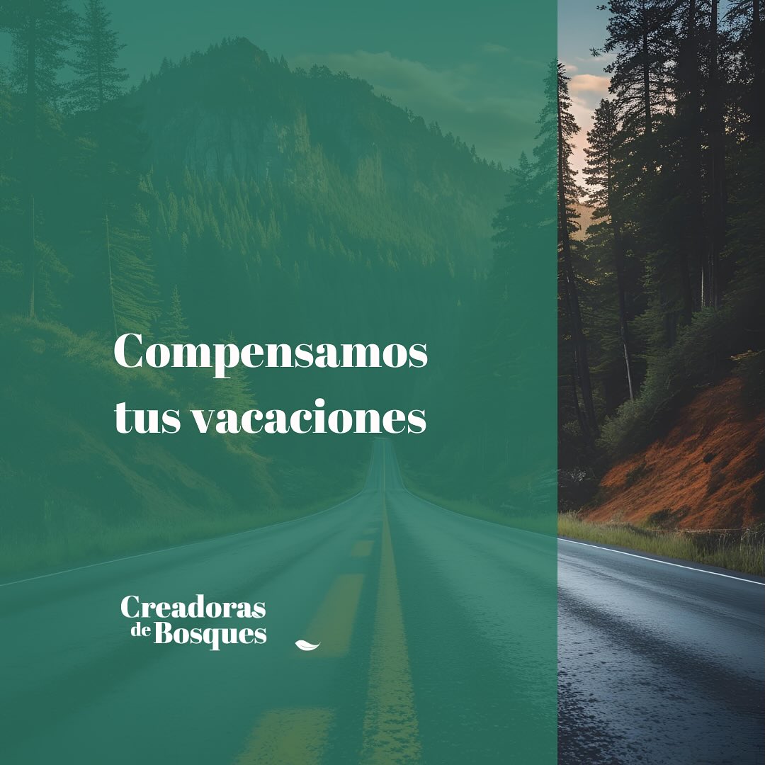 La vacaciones se acaban pero las emisiones siguen subiendo.
Seguimos llenando el depósito y quemando gasolina aún sin bosques que puedan capturar el CO2 que seguimos generando.
Y es que no serán las personas que nieguen el cambio climático las que salven al mundo, sino aquellas que su consciencia ambiental no les permita seguir adelante sin hacer algo por pequeño que sea.
Hoy te proponemos compensar parte del CO2 generado por tus desplazamientos de este verano. Y fíjate que escribimos “parte” porque ya te avanzo que “todo” es imposible.
¿Quieres que compensemos la tuya?✨
Comenta SÍ y te decimos cómo.
#creadorasdebosques
#compensarco2