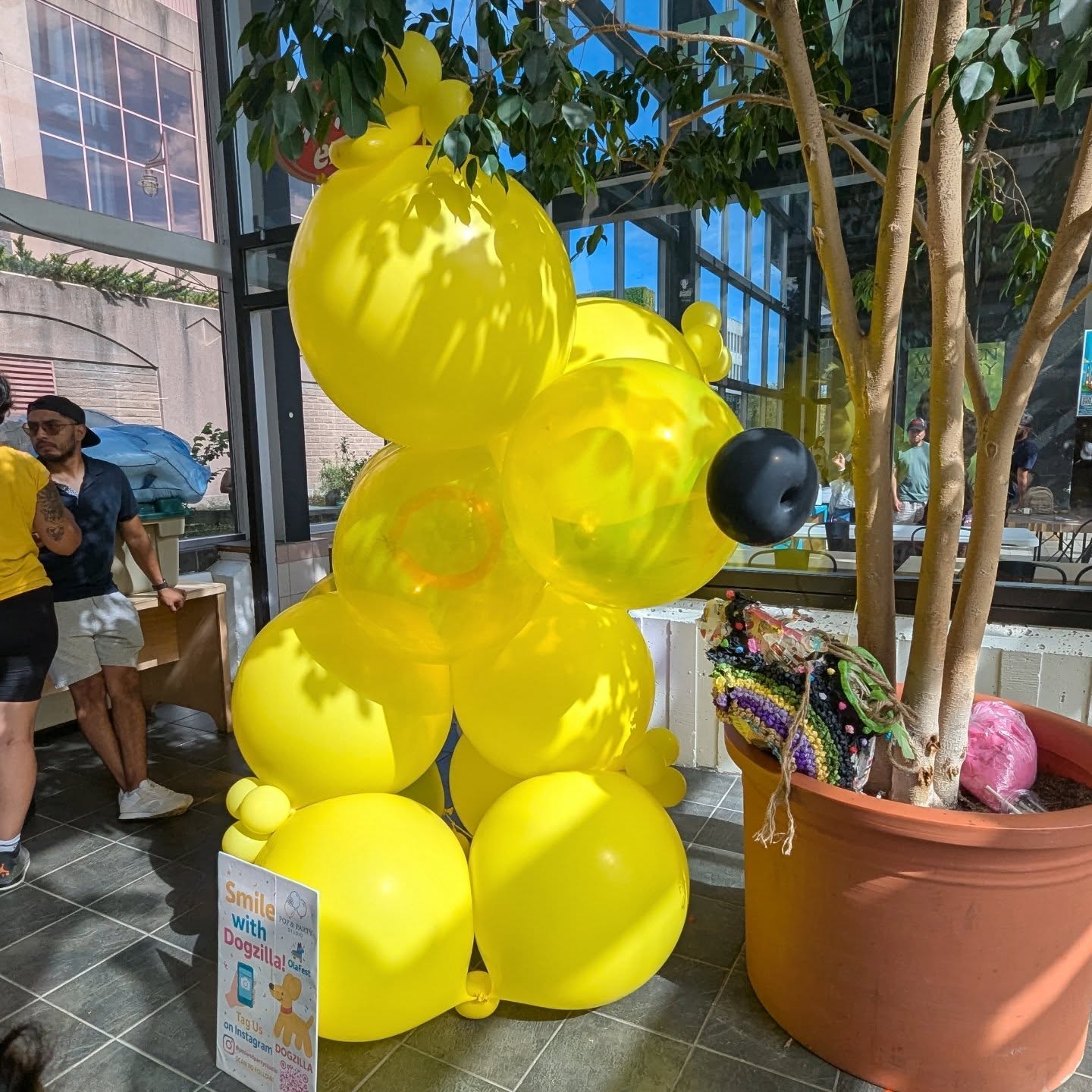🐾 Meet DOGZILLA!
Our balloon pup full of cuteness 💛
Perfect for selfies, smiles & unforgettable moments 📸🎈
Thanks to @olahalifax for letting us share the balloon joy at #Olafest 🫶
👉 Snapped a pic? Tag us!
📍Decor by Pop & Party Studio
🎉 Balloon vibes in Halifax & beyond
#dogzilla #balloondog #balloonart #balloondecor #halifaxevents #halifaxballoons #popandpartystudio #halifaxsmallbusiness #photoop #globoscanada #kidfriendlyhalifax #halifaxhappenings #thingstodoinhalifax #olafest