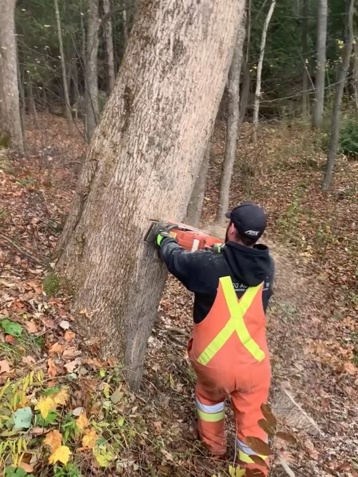 Building the Cherry Stage for #Kippsfest2025
#lumberjack #chainsawmilling #jaykippsband #houseconcert @chadburford