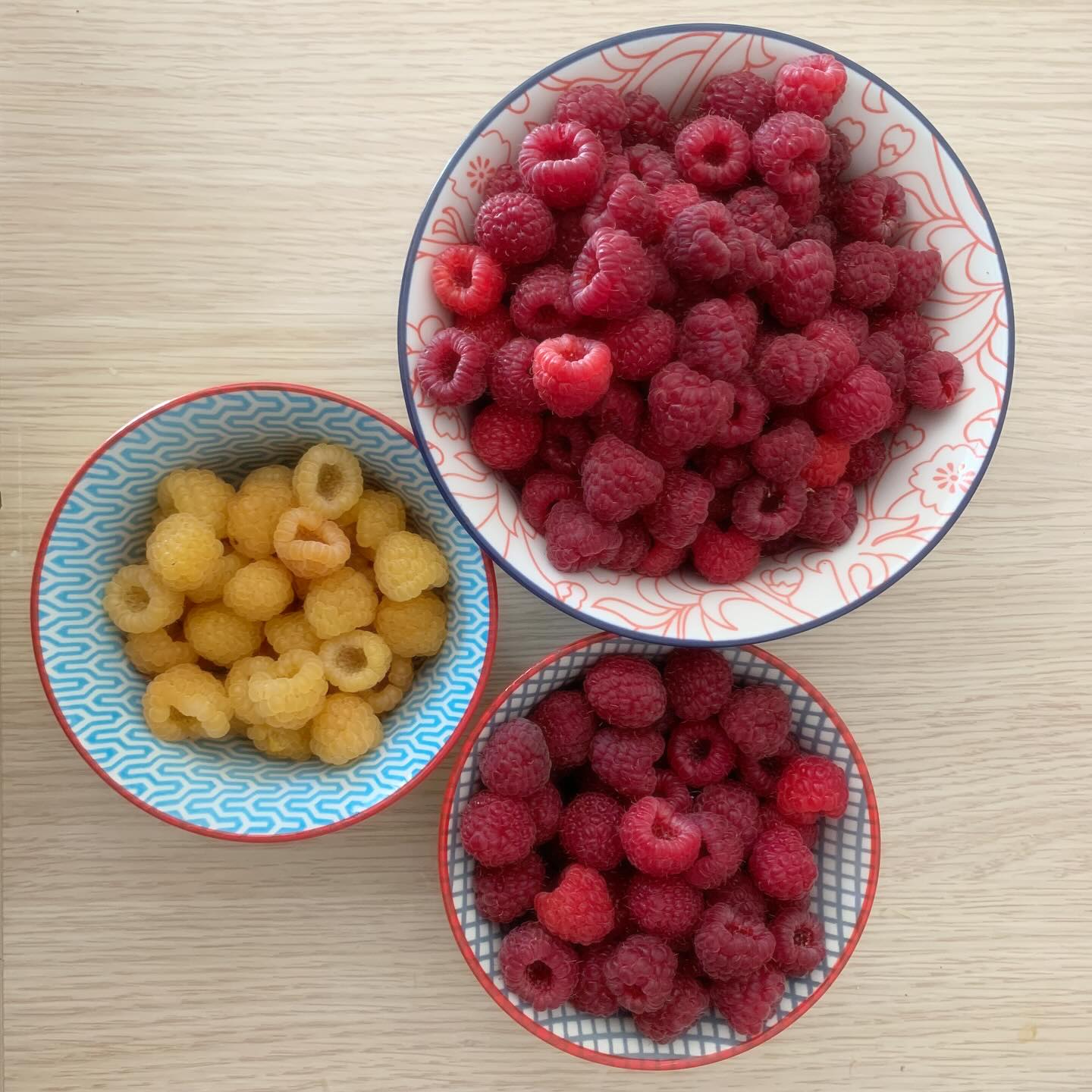 Figurez-vous que je n'avais pas vu que les framboisiers derrière la maison étaient gorgés de fruits 😅😅 ceux de devant étaient à tous secs 😂😂 La magnifique surprise de la Nature ce matin !!! ========> Dites-moi en commentaire ce que vous feriez d'une récolte pareil ?
.
.
#BonAppetit !
.
+ de 170 recettes et astuces sur
www.delicieuxsanssucre.com
Ou lien cliquable dans ma bio @delicieuxsanssucre
.
⚠️ Allez faire un tour sur la page du magnifique 🍀programme TAPAS🍀que je vous ai concocté, pour trouver l'alimentation qui vous conviendra à VOUS 🎯... Lien en bio...
>>Commentez YES et je vous envoie une surprise 😄😄
.
.
.
#Transformezvotrealimentation #alimentationIntuitive
#MangerMieux #MieuxManger #Alimentation #AlimentationSaine #Flexitarien #FaitMaison #DansMonAssiette #MangerSain #MangerSainement #cestropbon #EquilibreAlimentaire #ReequilibrageAlimentaire #DelicieuxSansSucre #IgBas #IndexGlycemiqueBas #RegimeIgBas #miam #miamMiam #VraimentSain #SansGluten #gourmand #Bio #fruitsdesaison