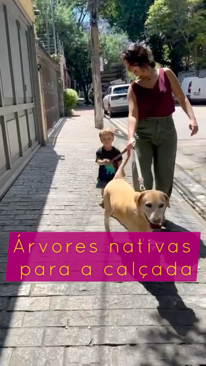 🇧🇷Plantar árvores na calçada e uma das maneiras mais fáceis e poderosas de verdejar nossas cidades!
.
Aqui trago 10 sugestões de árvores nativas, que mostrei no programa @programavivaatarde na @tvaparecida com informações de seu porte e domínio fitogeográfico 😍 temos espécies lindíssimas, além disso são de baixa manutenção, e vão servir de alimento e abrigo para nossa fauna urbana.
.
Plantando uma árvore você pode transformar a sua vida e de muitos outros seres vivos. Seja a mudança que você quer ver no mundo 🌿💚🌳
.
Planting trees on sidewalks is one of the easiest and most powerful ways to green our cities!
🇬🇧Here are 10 suggestions for native trees, which I showed on the @programavivaatarde program on @tvaparecida, with information on their size and phytogeographic domain. We have beautiful species, which are also low-maintenance and will serve as food and shelter for our urban fauna.
By planting a tree, you can transform your life and the lives of many other living beings. Be the change you want to see in the world. 🌿💚🌳
.
#árvore #arvoresnativas #árvoresnacalçada #cidadesbiofilicas #biofilia #qualidadedevida #cidadesverdes #paisagismoecologico #soluçõesbaseadasnanatureza #frutasnativas #flores